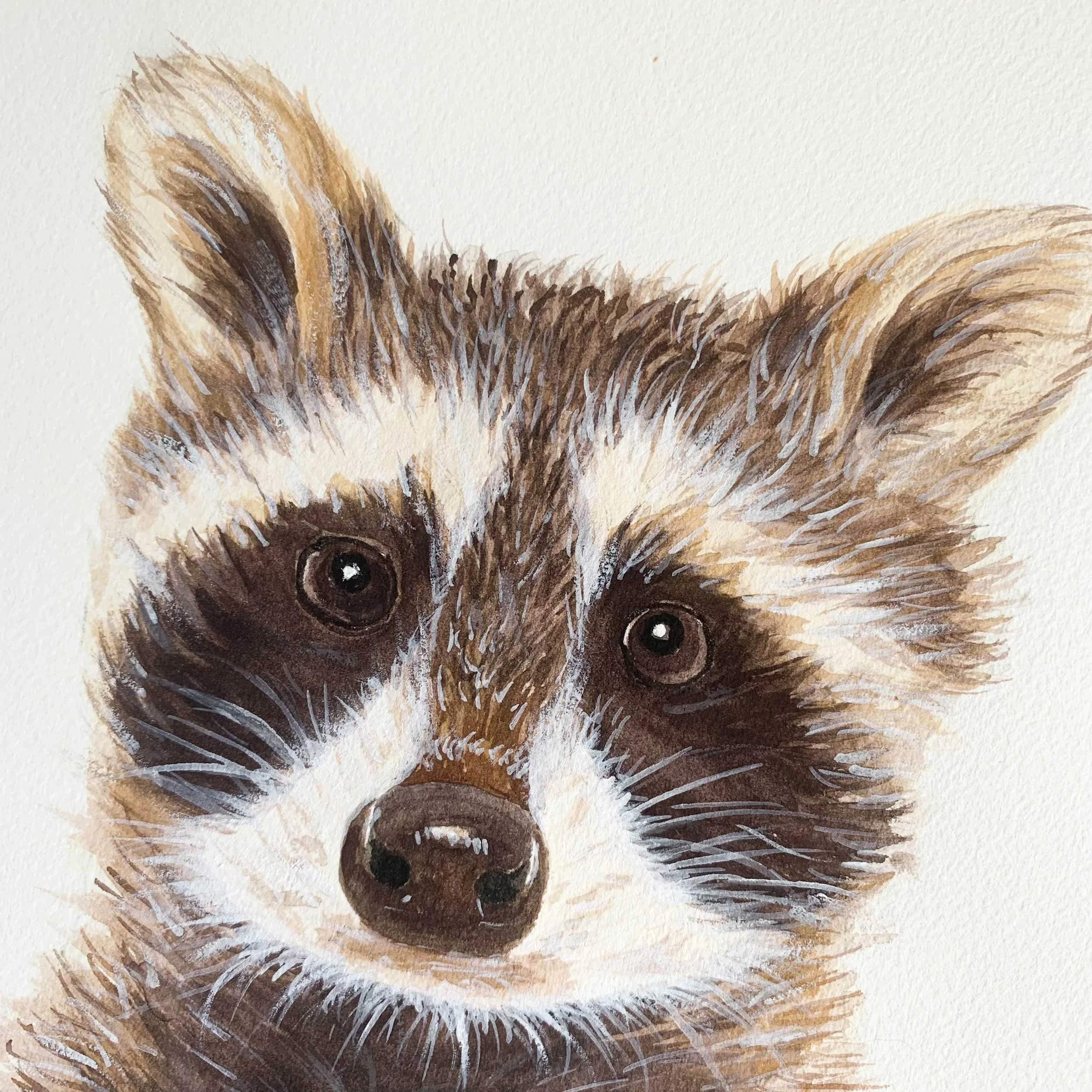 Baby Raccoon Original Watercolor Painting