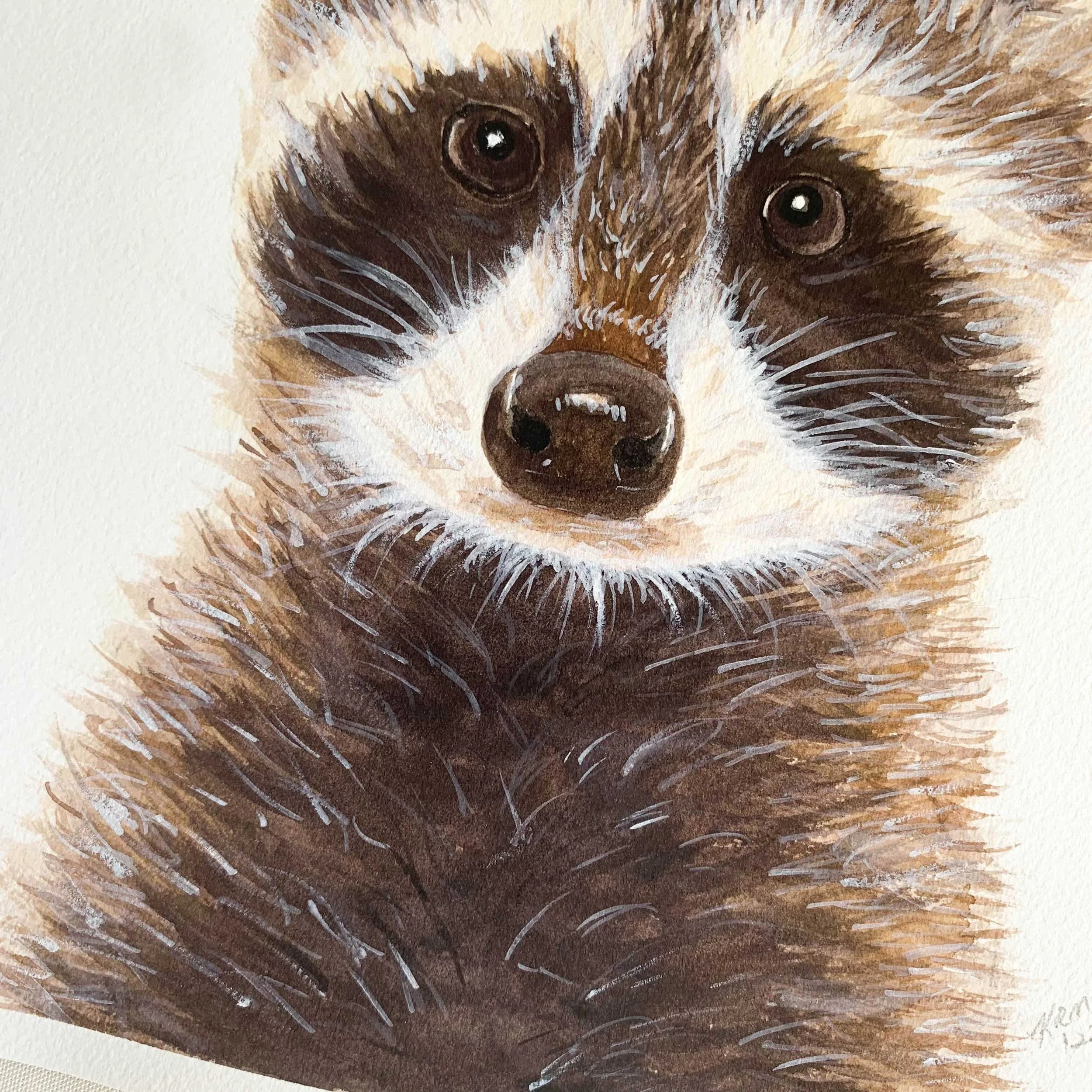 Baby Raccoon Original Watercolor Painting