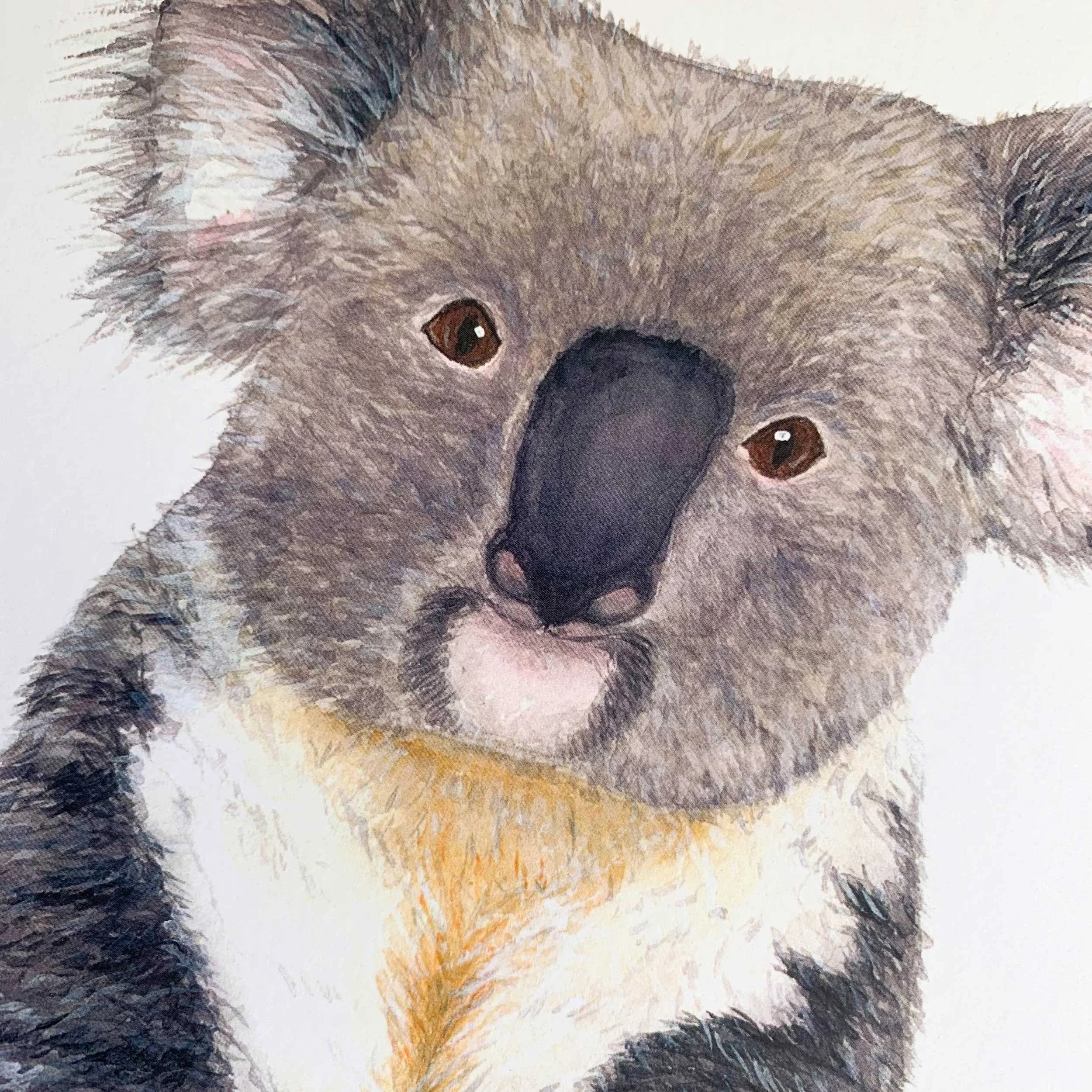 Baby Koala Watercolor Art Print