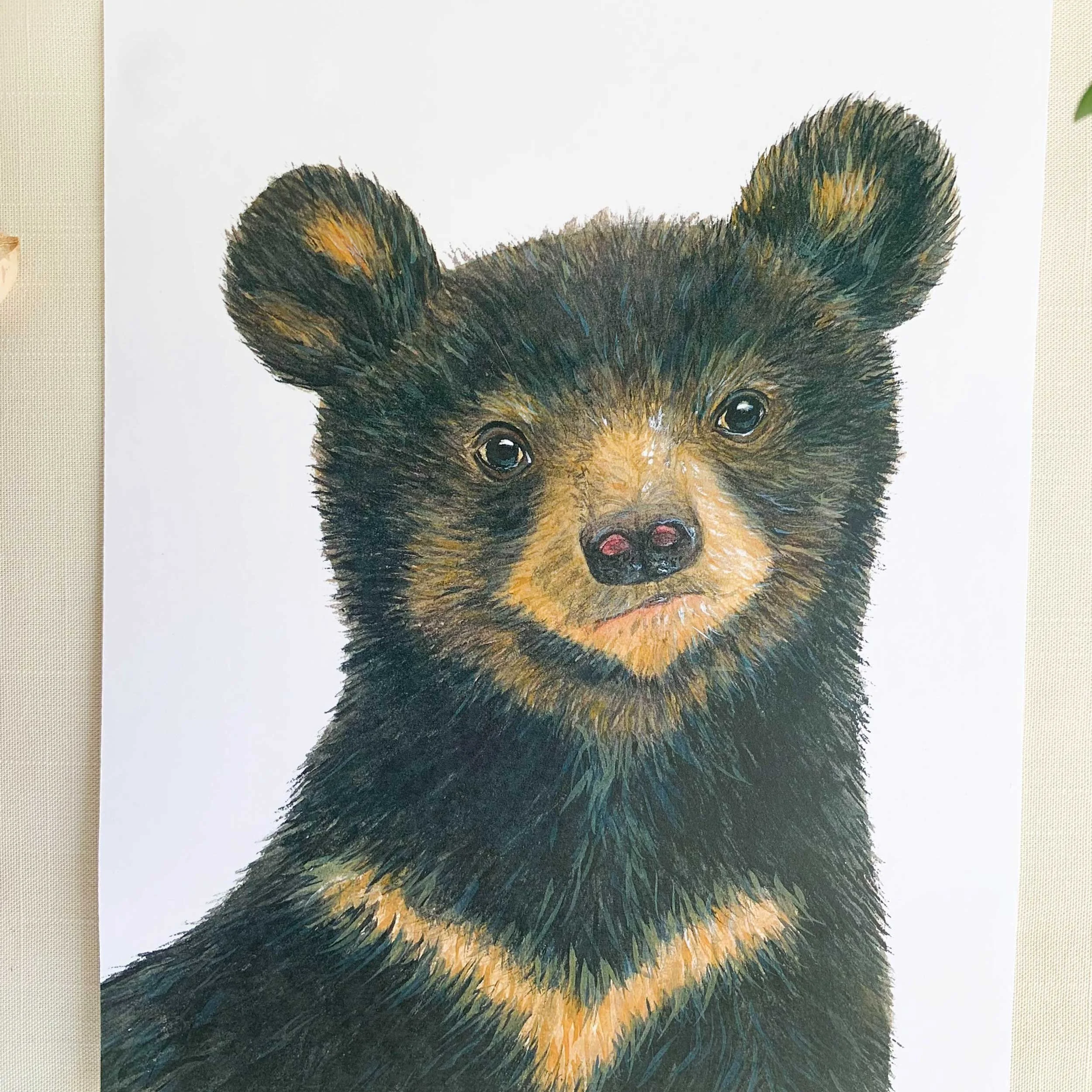Baby Black Bear Watercolor Art Print
