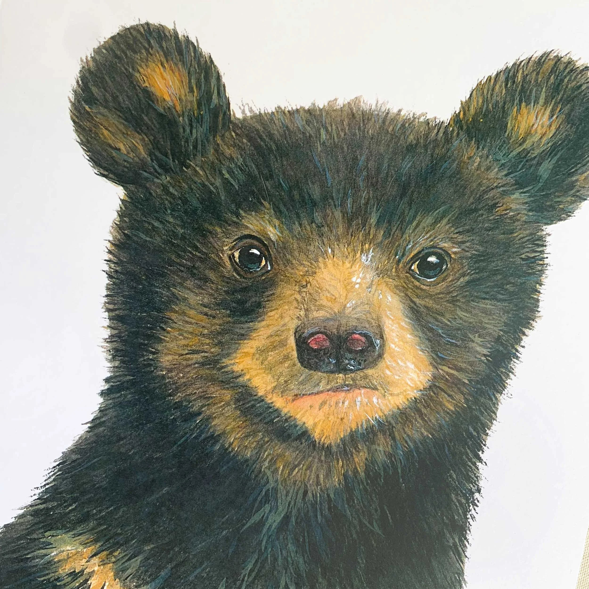 Baby Black Bear Watercolor Art Print