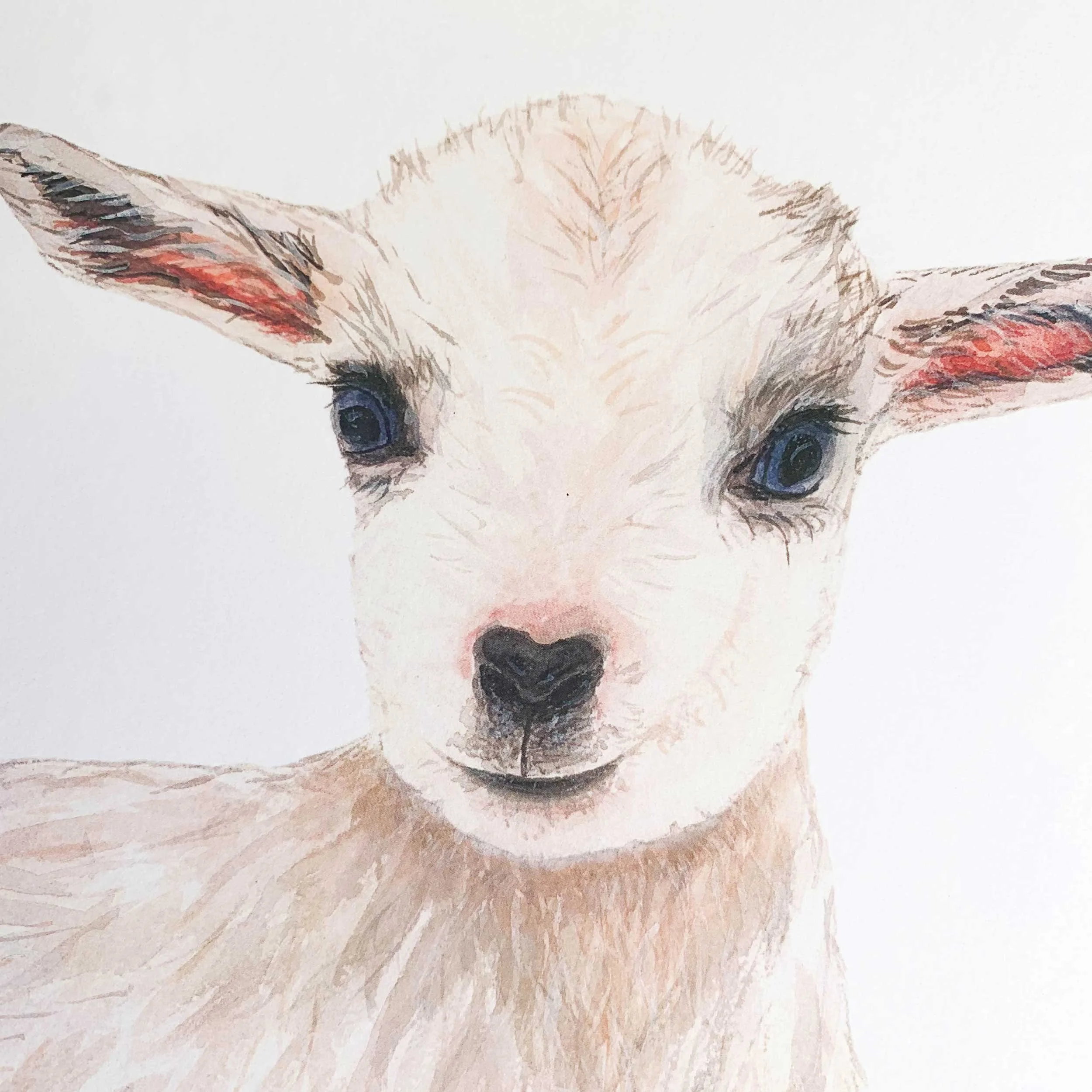 Baby Goat Watercolor Art Print