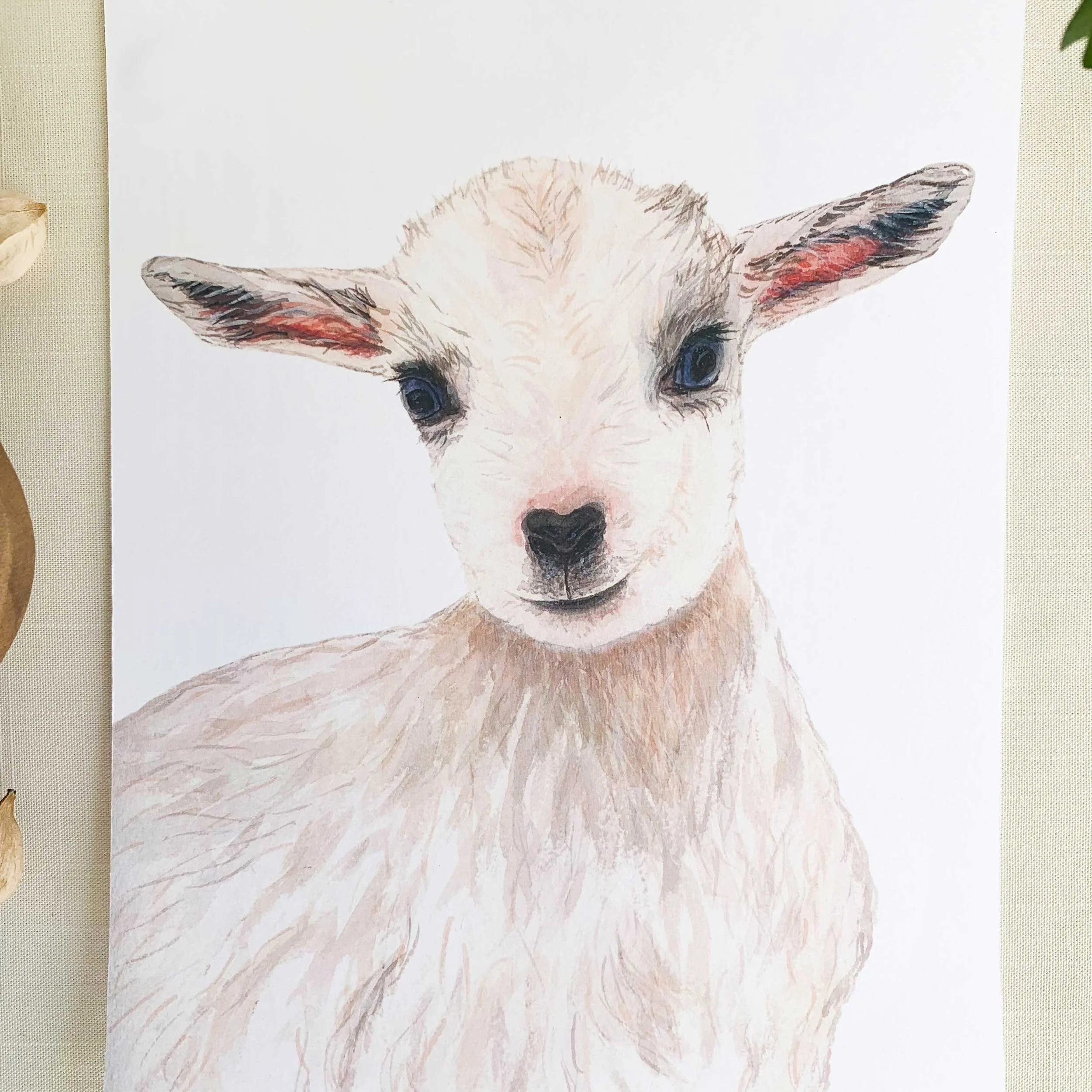Baby Goat Watercolor Art Print