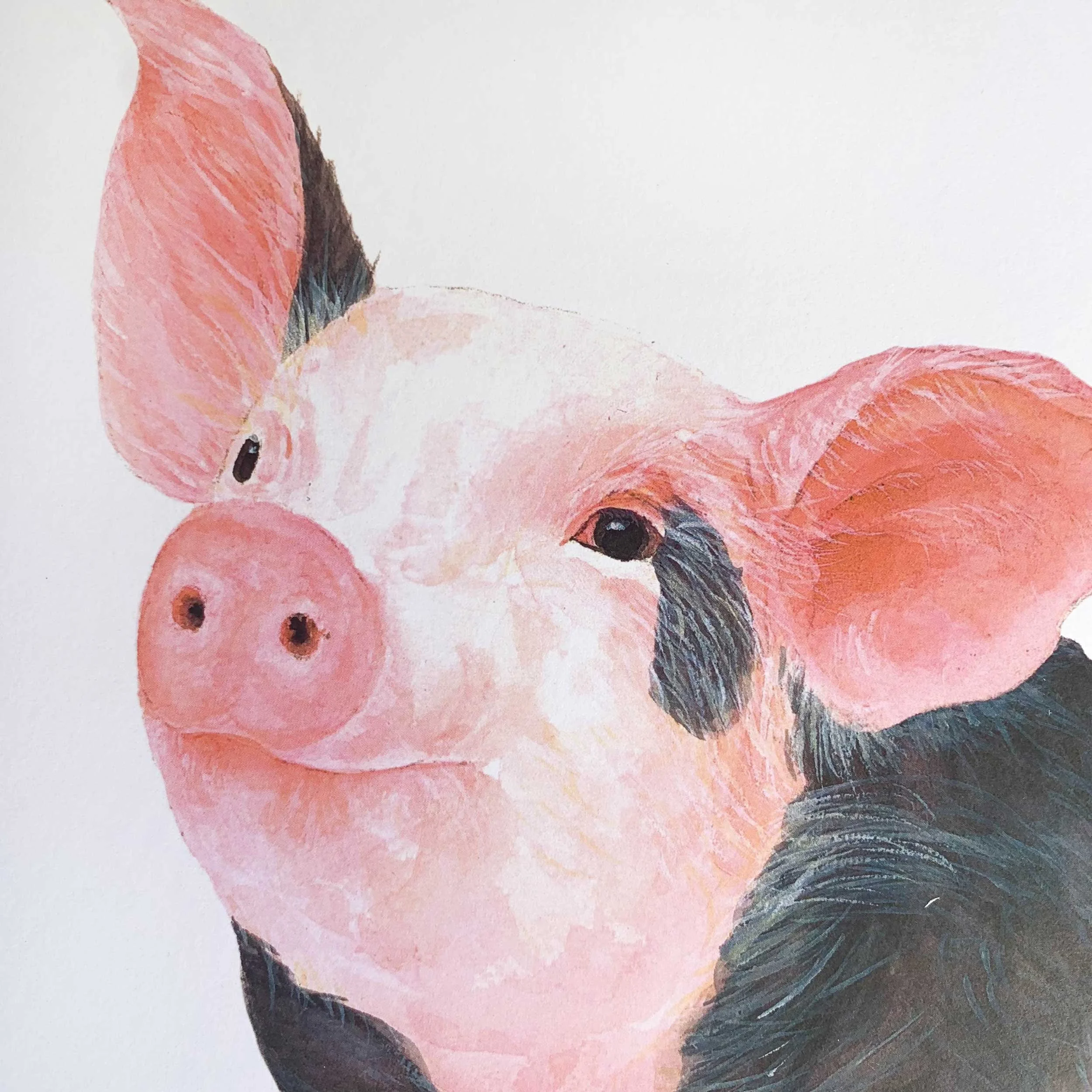 Baby Pig Watercolor Art Print