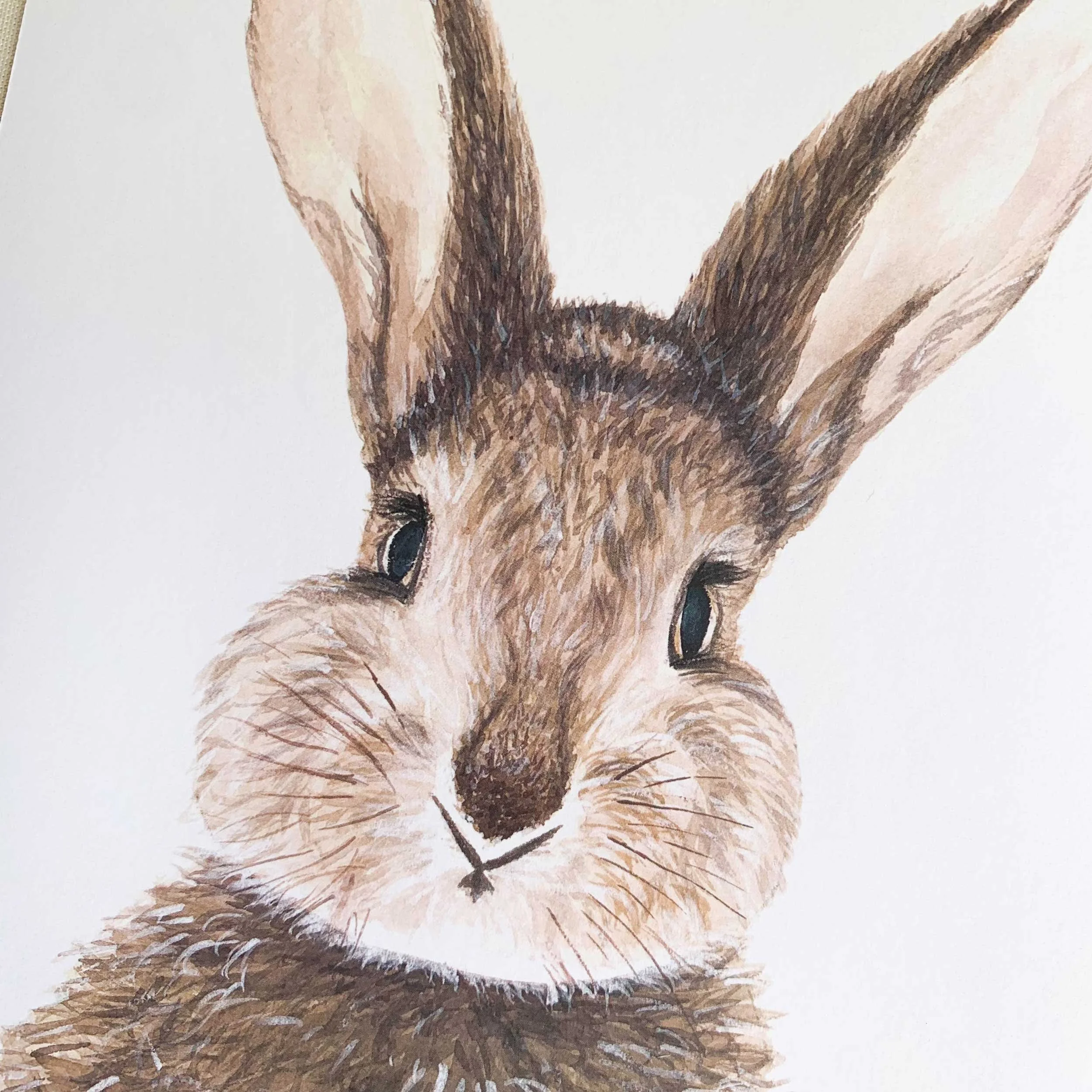 Baby Bunny Watercolor Art Print