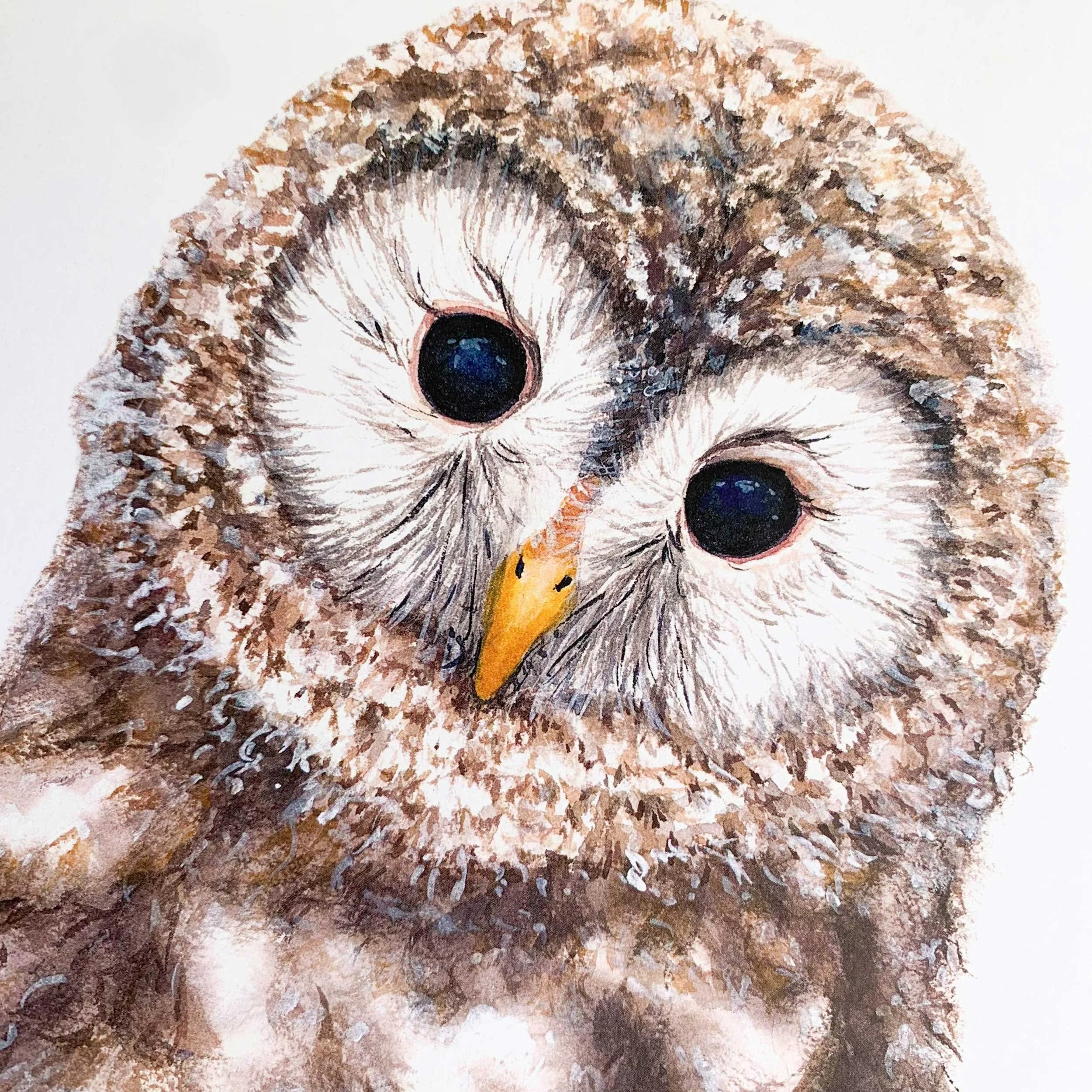 Baby Owl Watercolor Art Print