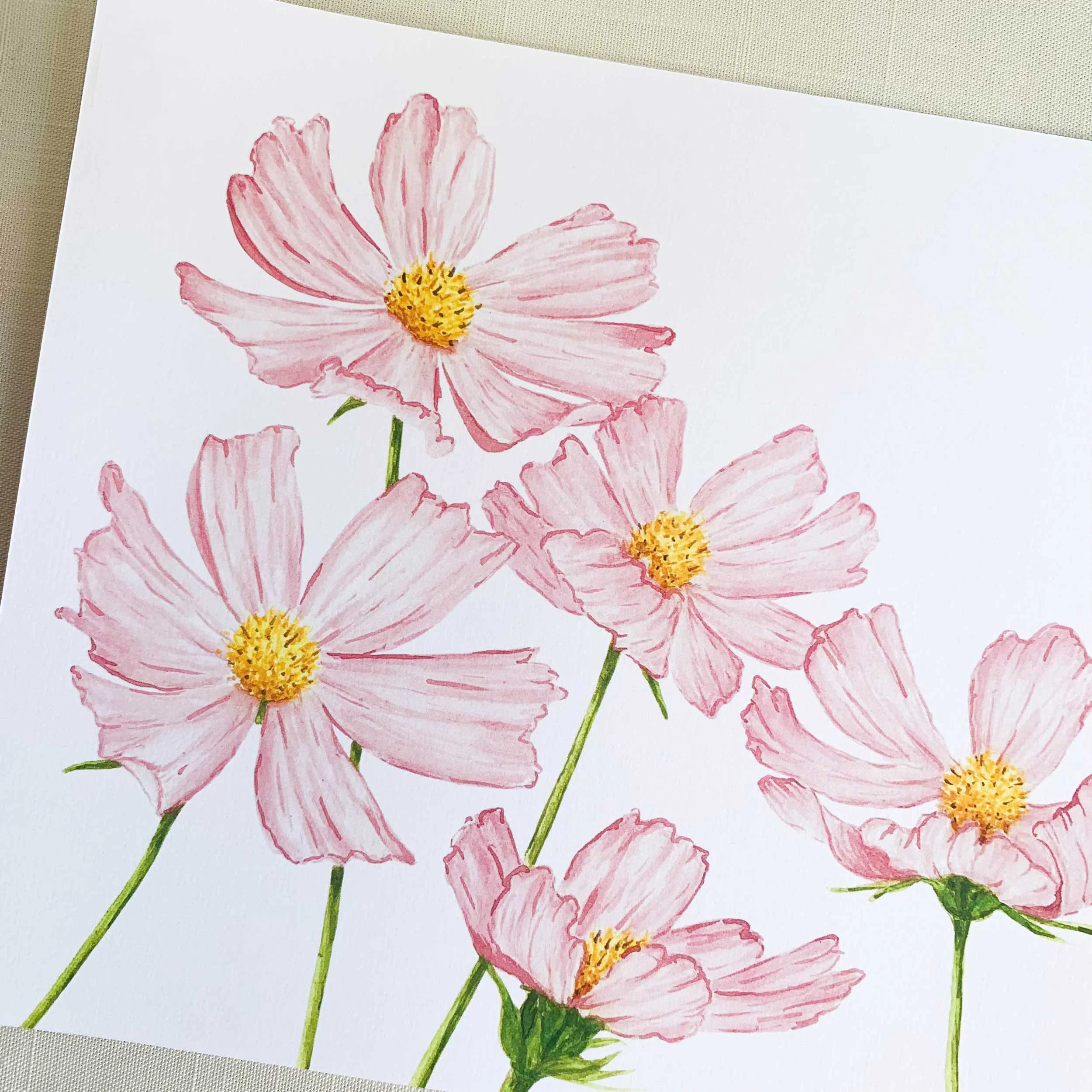 Pink Edge Cosmos Art Print