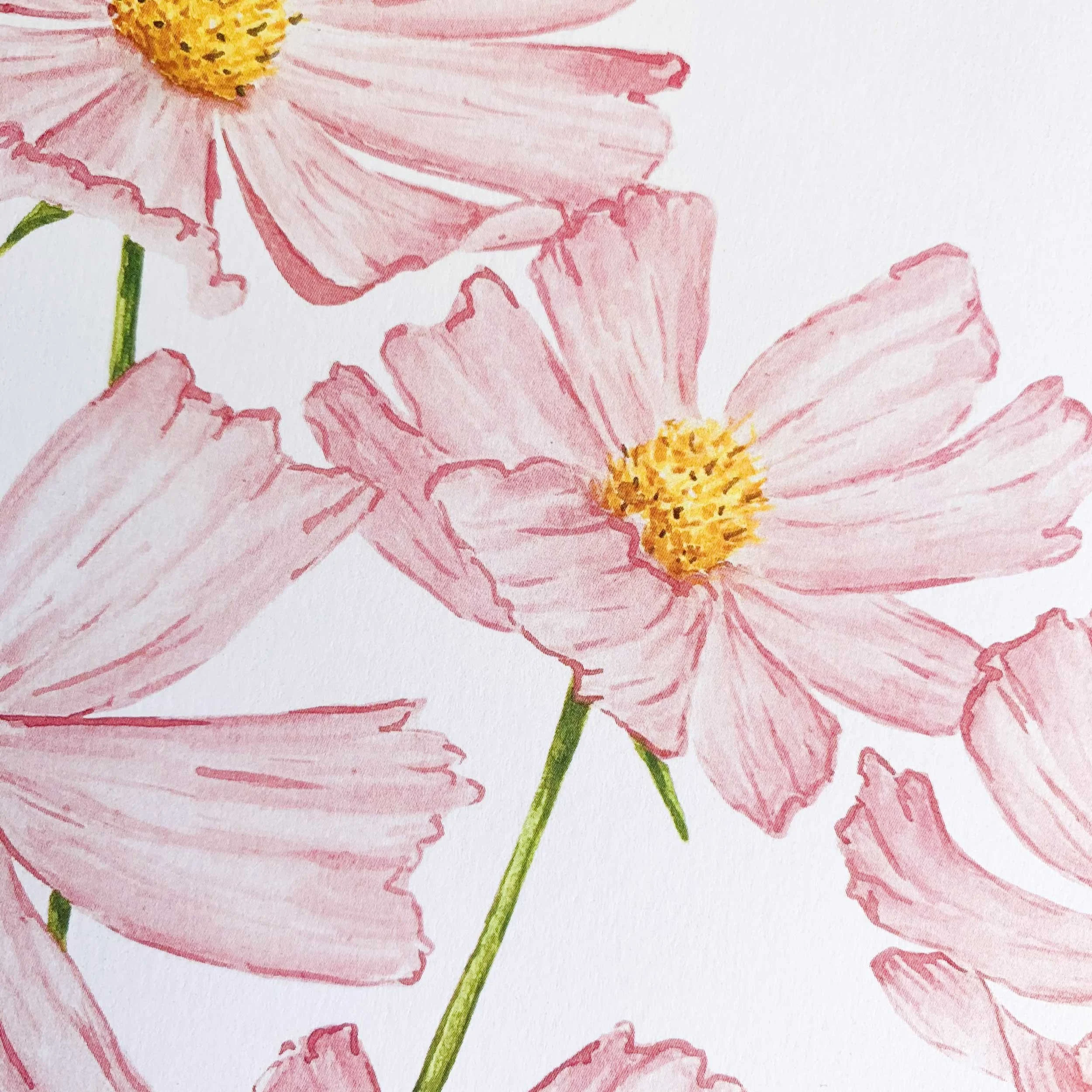 Pink Edge Cosmos Art Print