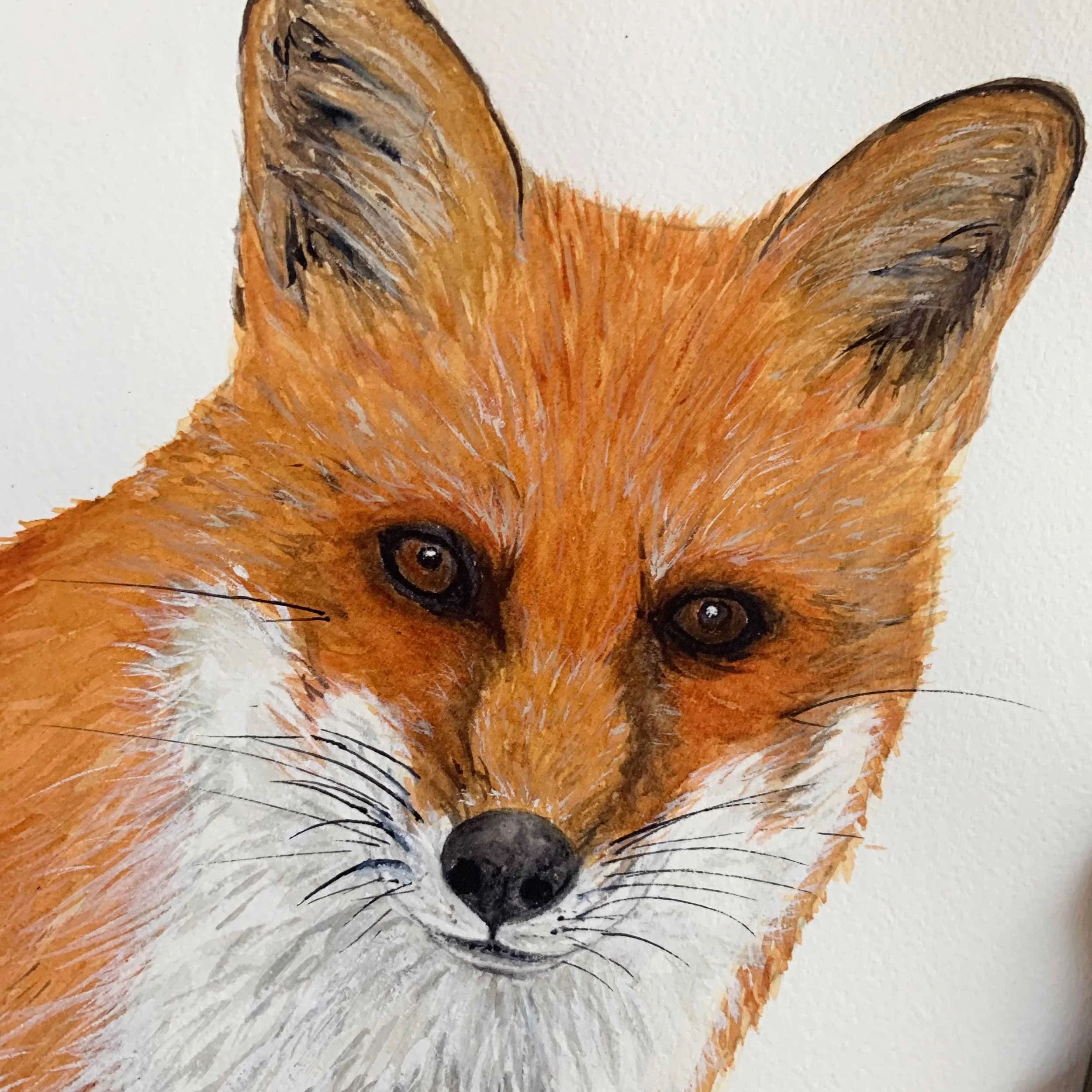 Adult Red Fox Original Watercolor
