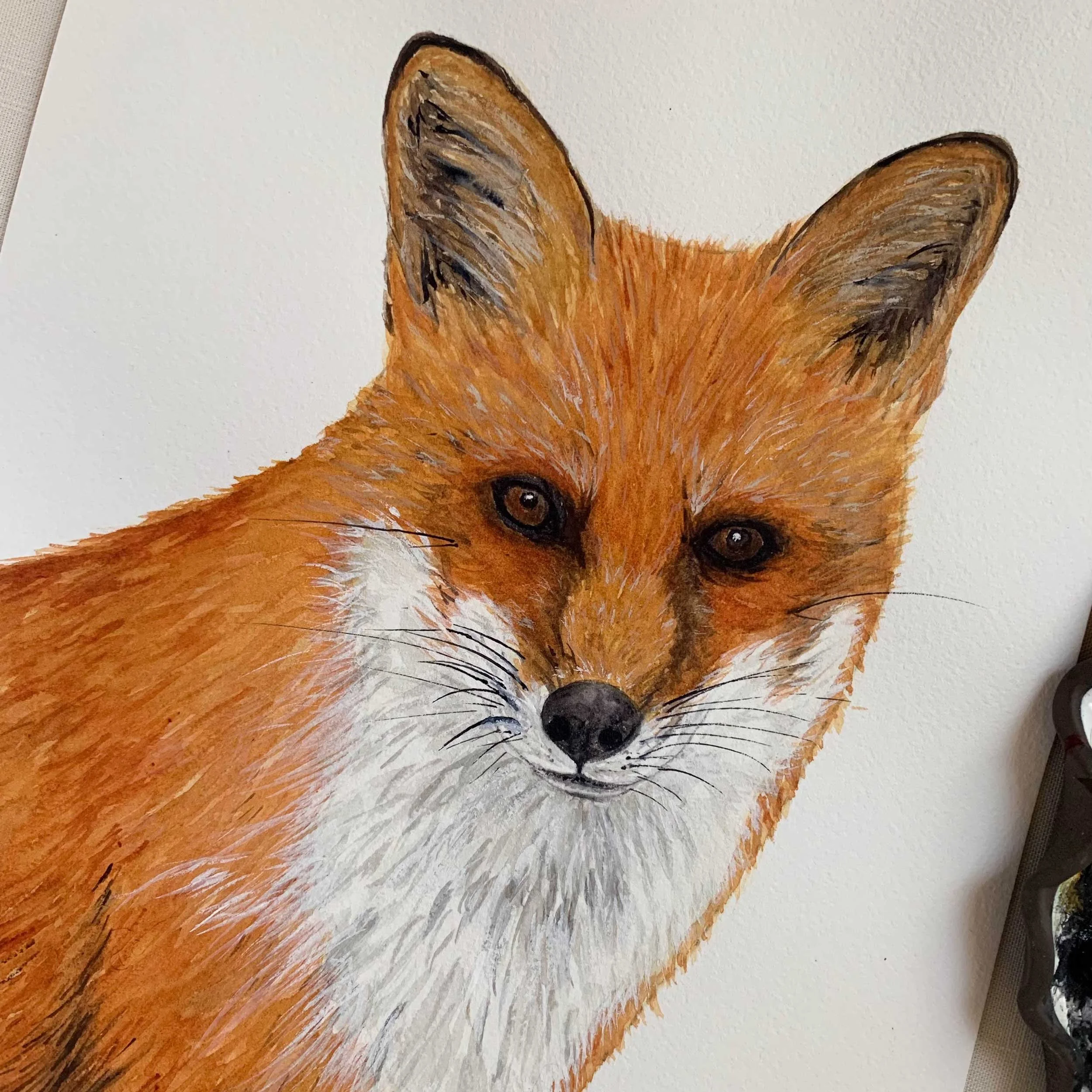 Adult Red Fox Original Watercolor