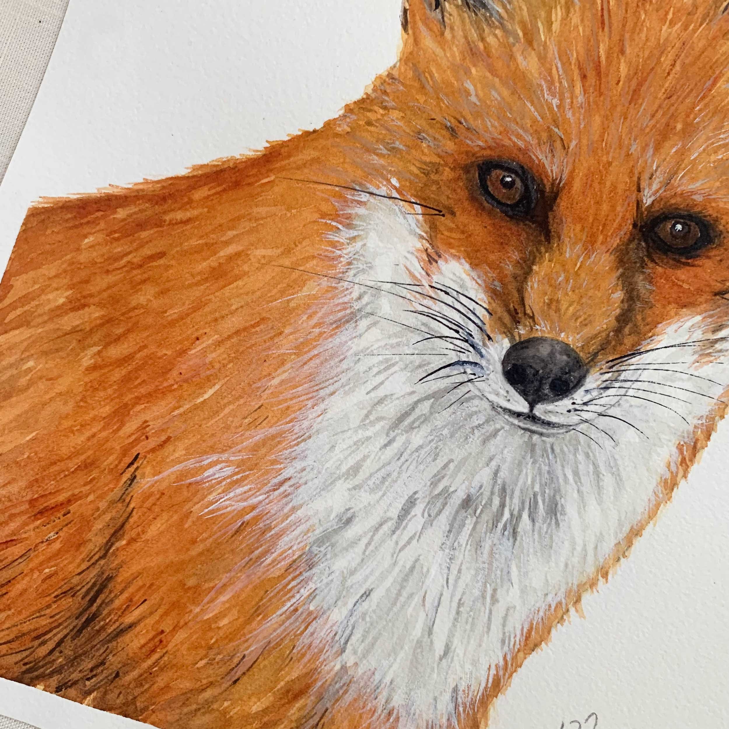 Adult Red Fox Original Watercolor