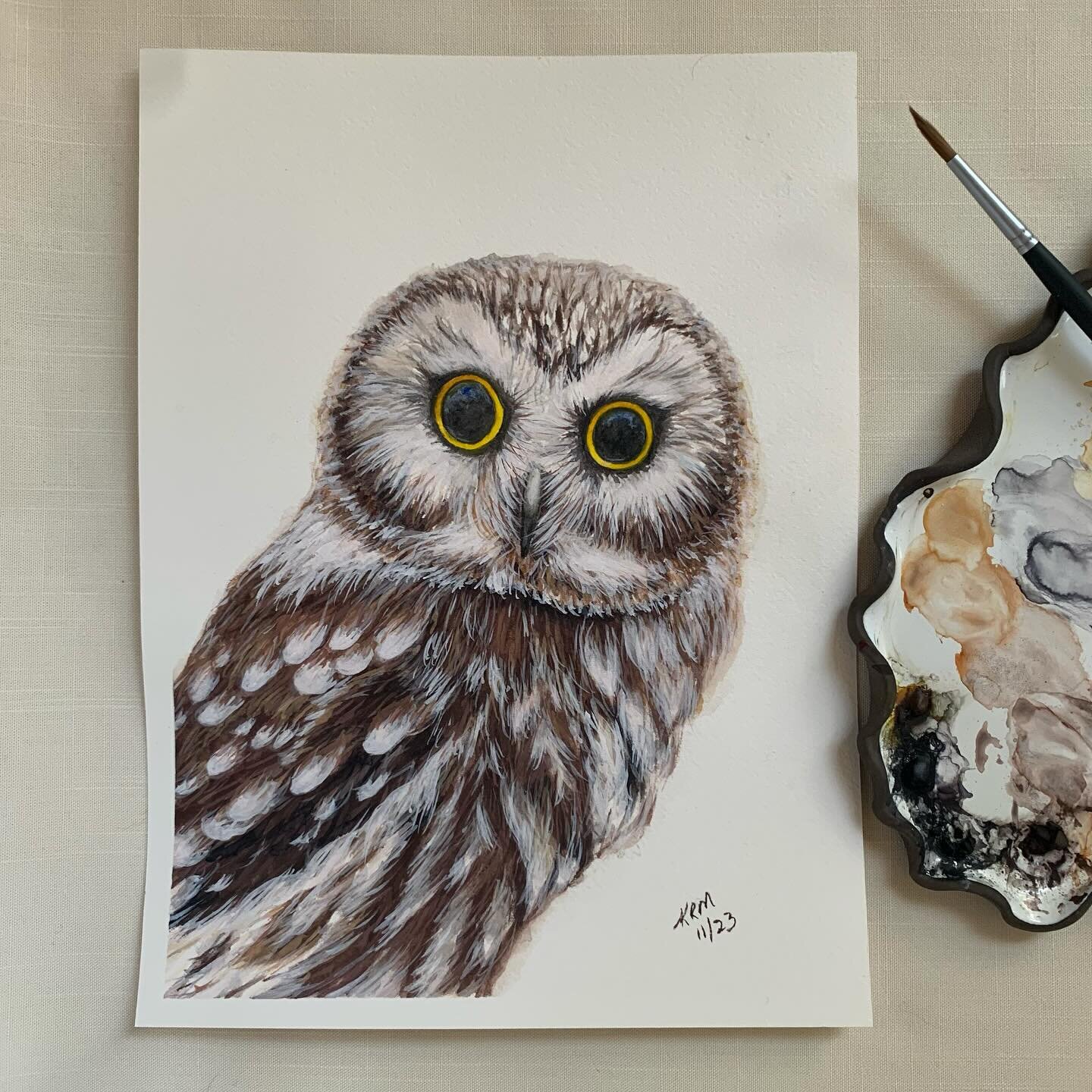 Finished painting of a Saw-Whet Owl.
#owl #owls #owllover #sawwhetowl #painting #watercolor #originalartwork #birdlovers #birdsofinstagram #willowglenstationery