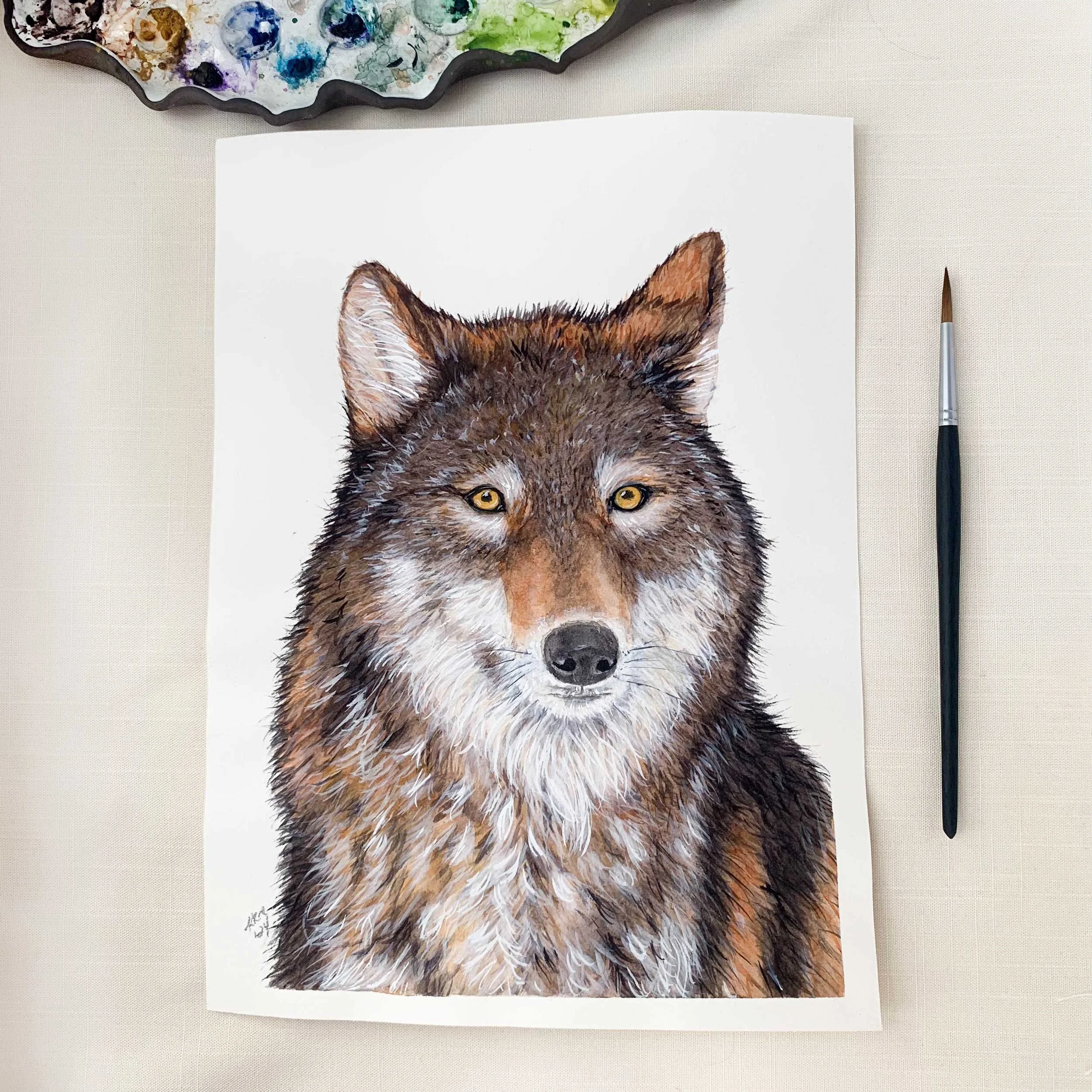 Gray Wolf Original Watercolor