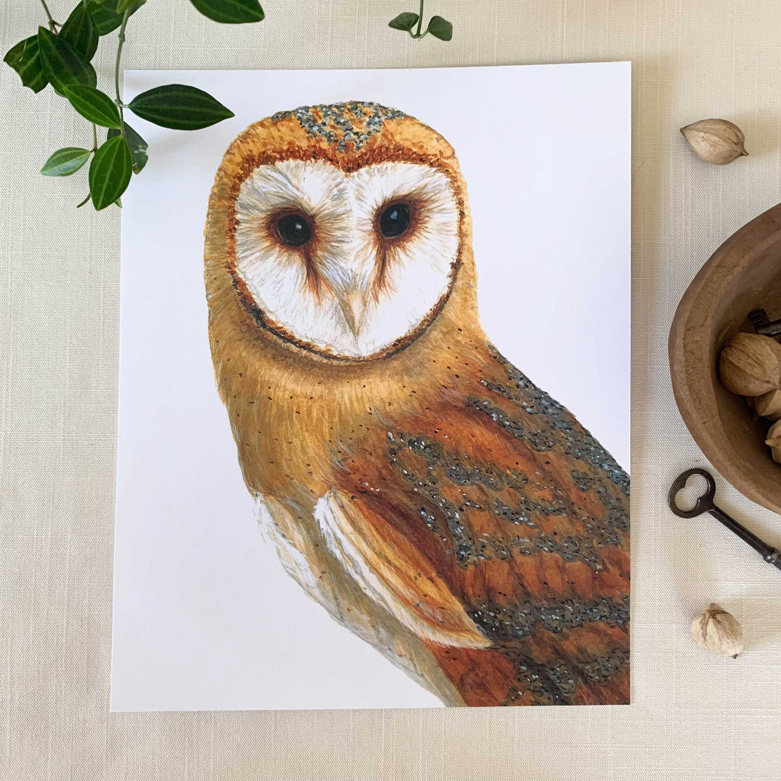 Barn Owl Watercolor Art Print