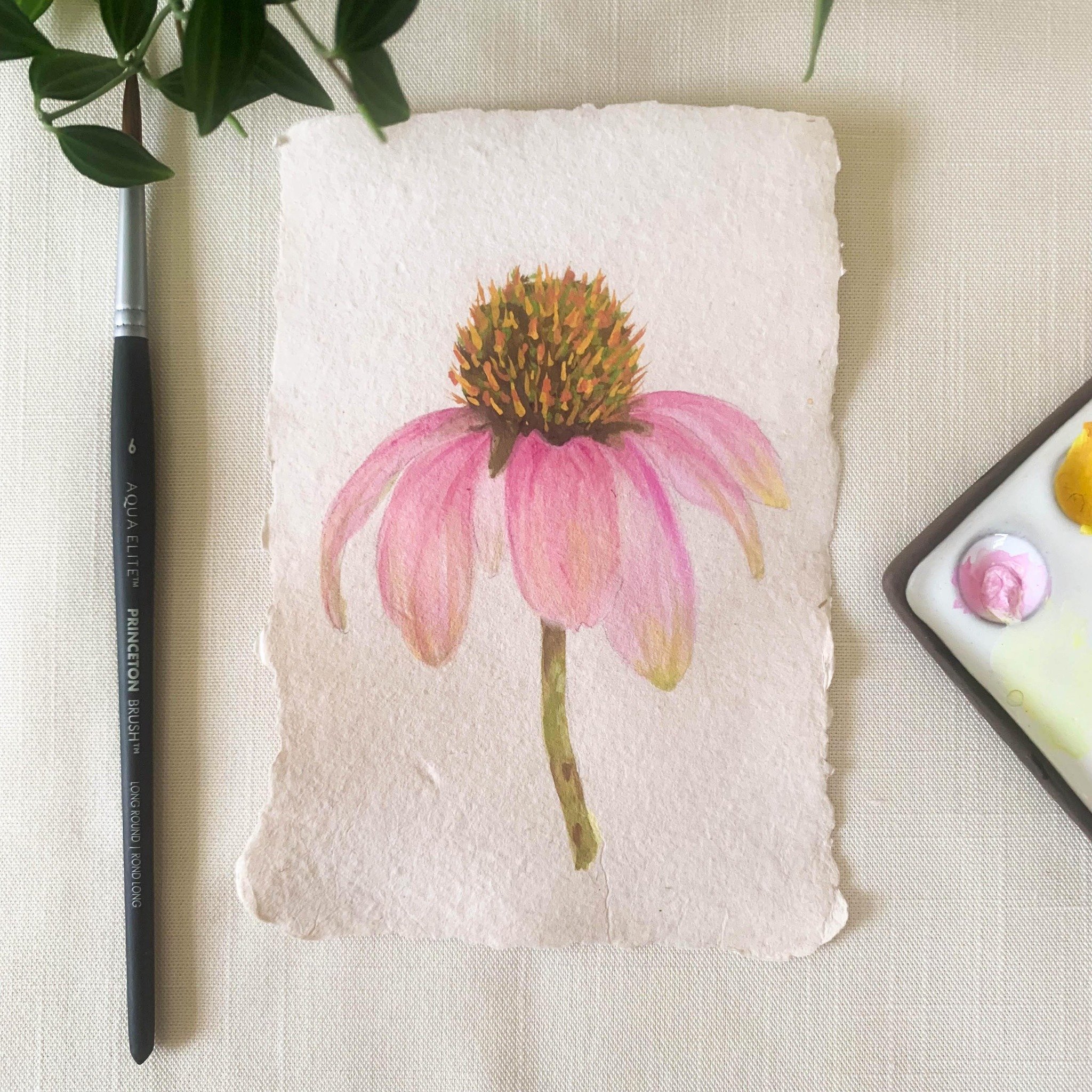 Pink Coneflower painted in gouache on handmade paper.
#coneflower #coneflowersofinstagram #pinkflowers #painting #inspiredbypetals #gouache #gouachepainting #flowerpainting #artforyourhome #handmadepaper #floralart #willowglenstationery