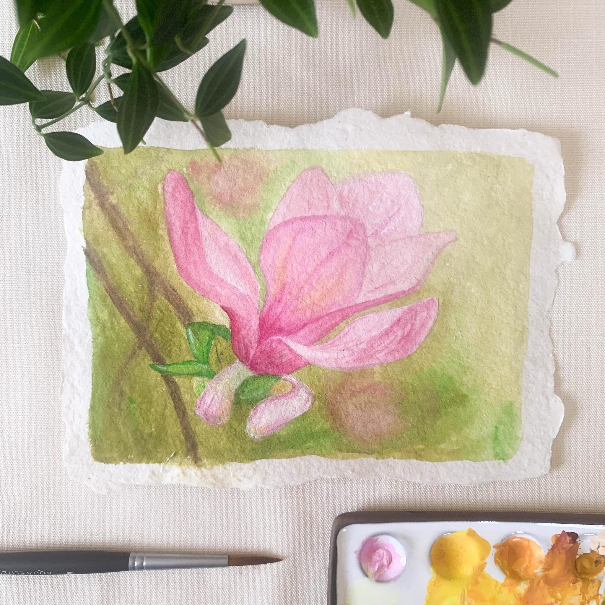 Blooming magnolia flower painted in gouache on handmade paper.
#magnoliaflower #magnoliapainting #springflowers #springfever #blooming #gouachepainting #gouacheart #handmadepaper #loveofflowers #inspiredbypetals #painting #willowglenstationery
