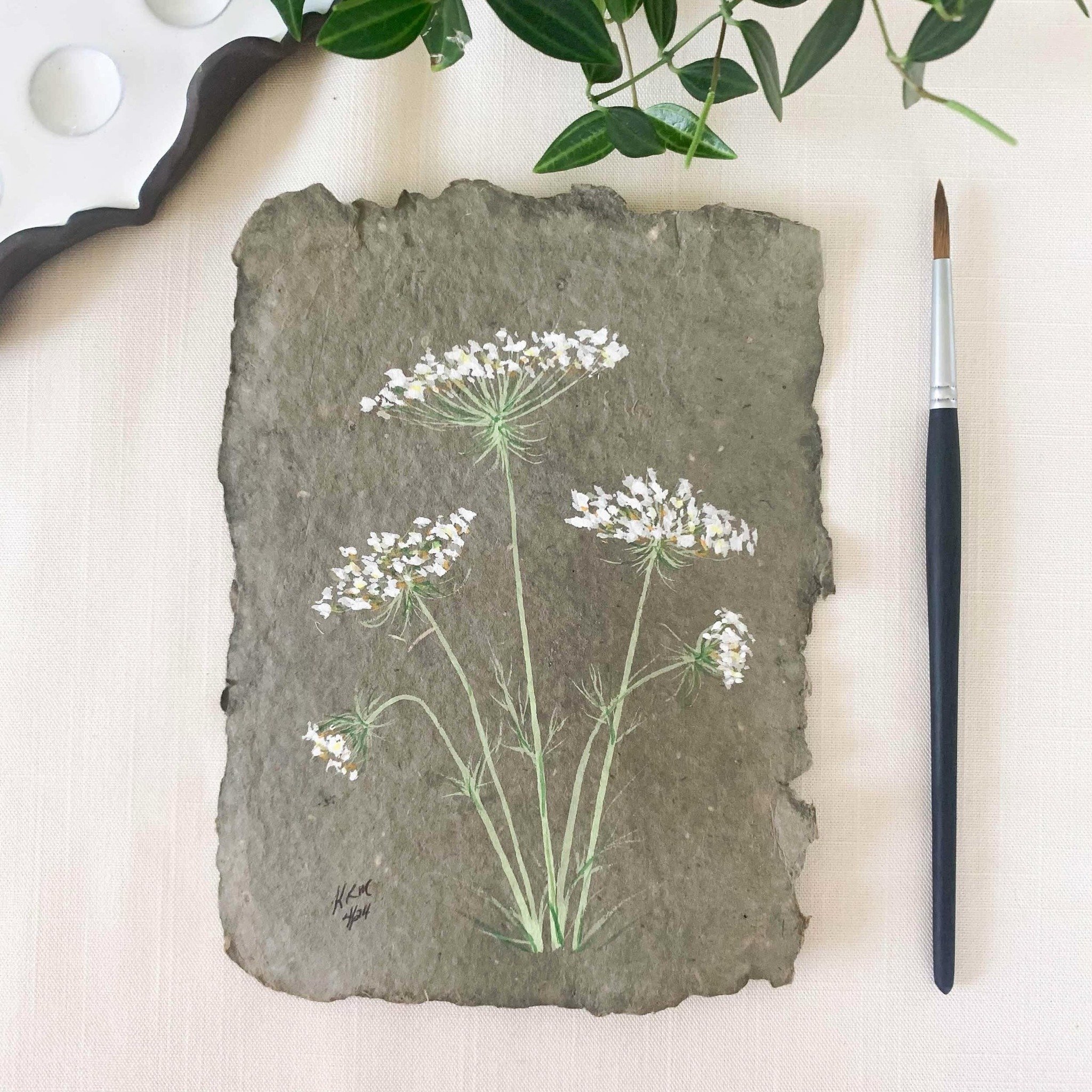 A larger Queen Anne Lace on a mountain green handmade paper. Painted in gouache.
#queenanneslace #gouachepainting #wildflowers #wildflowerart #whiteflowers #inspiredbyflowers #handmadepaper #flowerart #artist #painting #botanicalart #willowglenstatio
