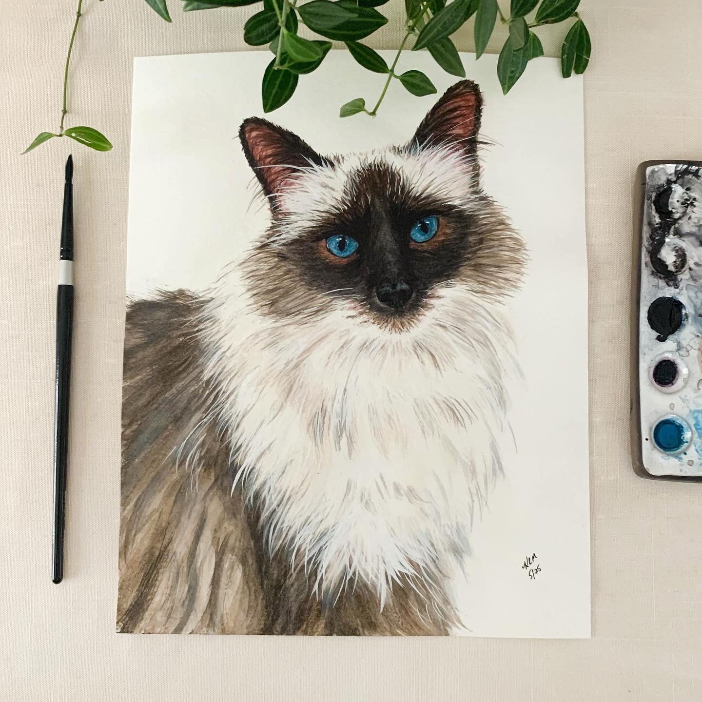 Meet Fifi! Fifi is such a loved cat. This was a birthday present.
#catportraits #catpainting #catportraitsofinstagram #catportraitartist #petcommission #watercolorcat #watercolorpainting #petportrait #petportraitartist #catlover #willowglenstationery