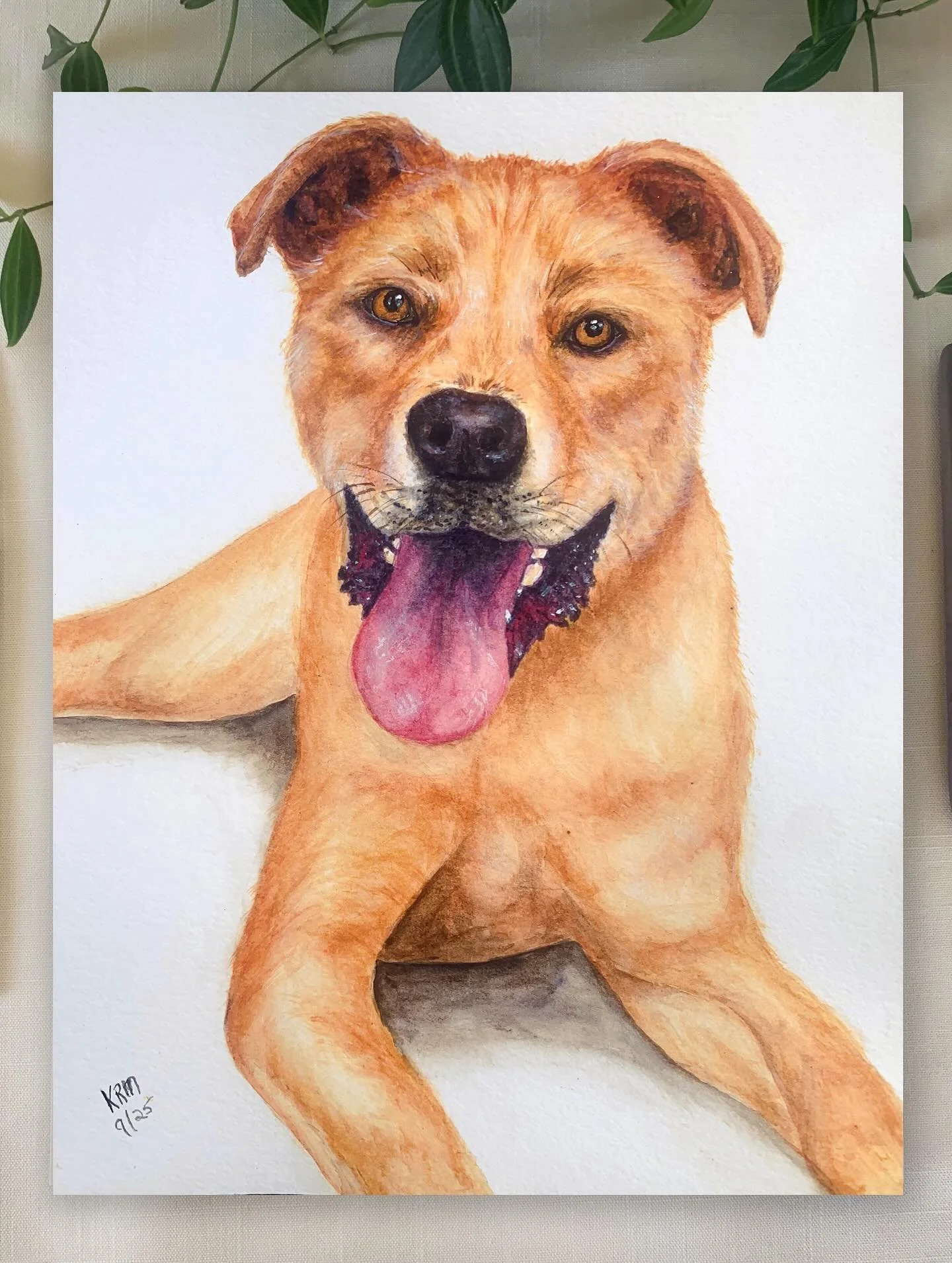 Meet Tyler! I had the pleasure this weekend to be a vendor at &lsquo;Bark In the Park: In Memory of Tyler 2025&rdquo;. During the day I did a live paint demo painting Tyler. Jaclyn, the founder of Happily Furever After Rescue, has always had a deep l