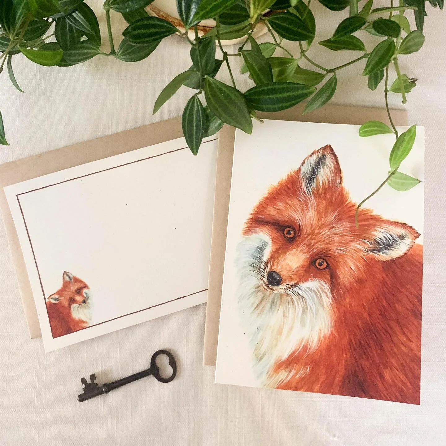 Besides my dogs, foxes are one of my favorite wild animals. For years we always had an active fox den in our neighborhood. Sadly this year the family had two new fox pups and we believe they were killed as babies. Since the spring we have only see a 