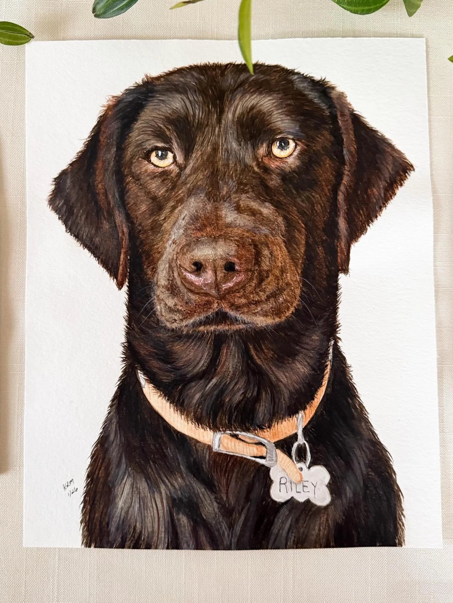 Meet Riley! Riley was a Chocolate Lab who left his family unexpectedly at age 5. She loved to cuddle, chase tennis balls and play with her toys and little sister Piper. She was a sweet, gentle dog who loved everyone she came in contact with. Her fami