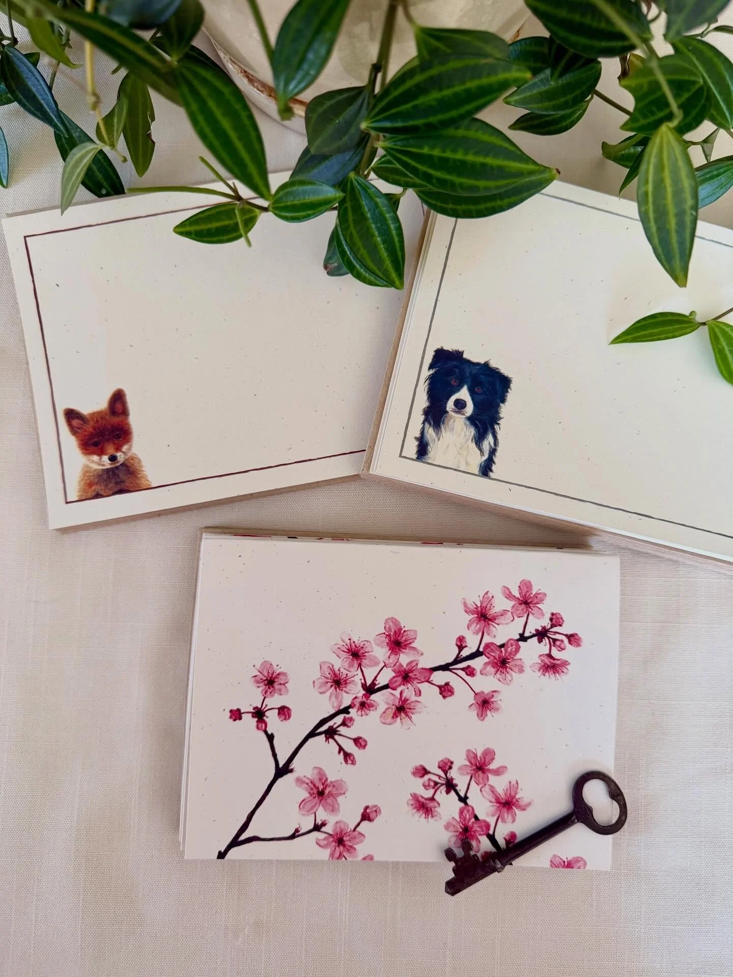 Orders from yesterday. Thank you!!!
#stationeryshop #stationerylover #notecards #animalcards #animalovers