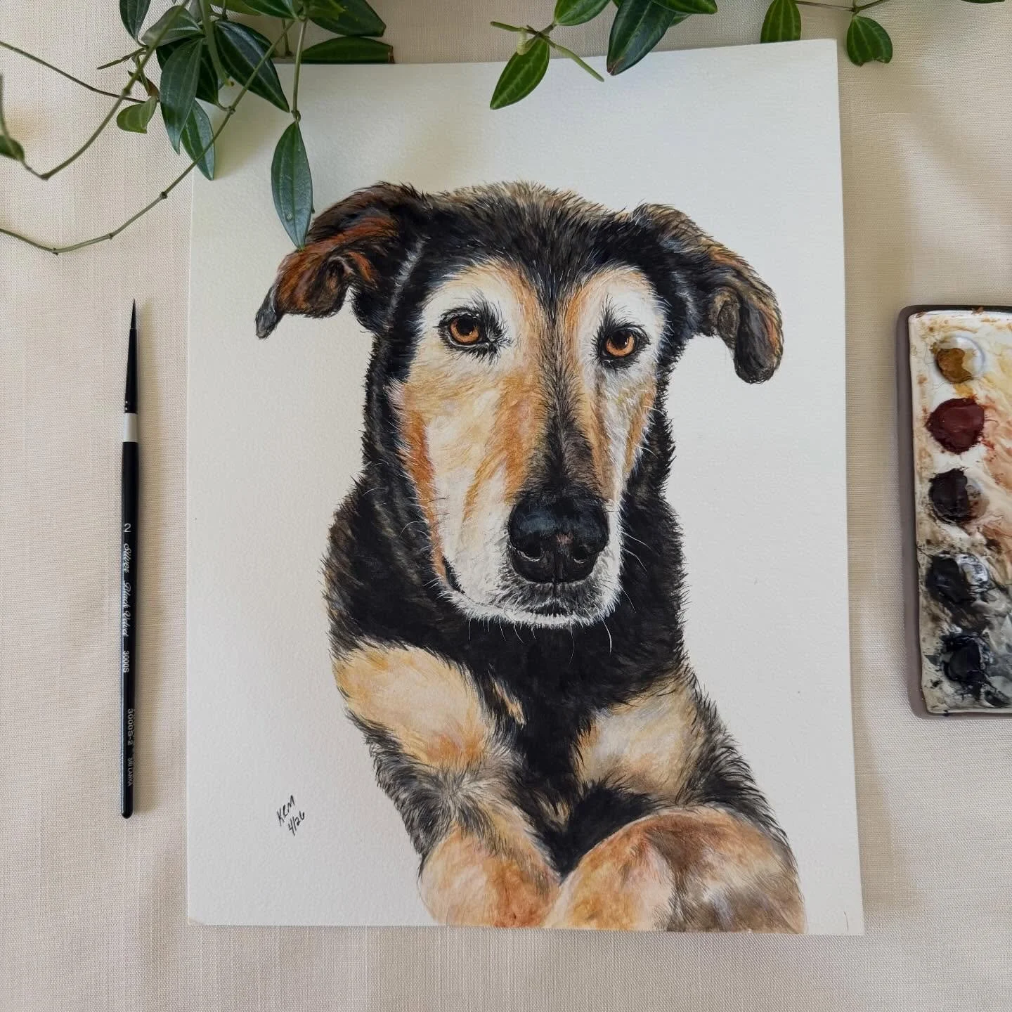 Meet Scout! I painted this cutie in memorial for my BIL and SIL. Sadly they lost Scout last month to bladder cancer. Scout was a gentle giant. Our senior dog Lily had the biggest crush on him. He will be greatly missed in our family.
#petportrait #pe