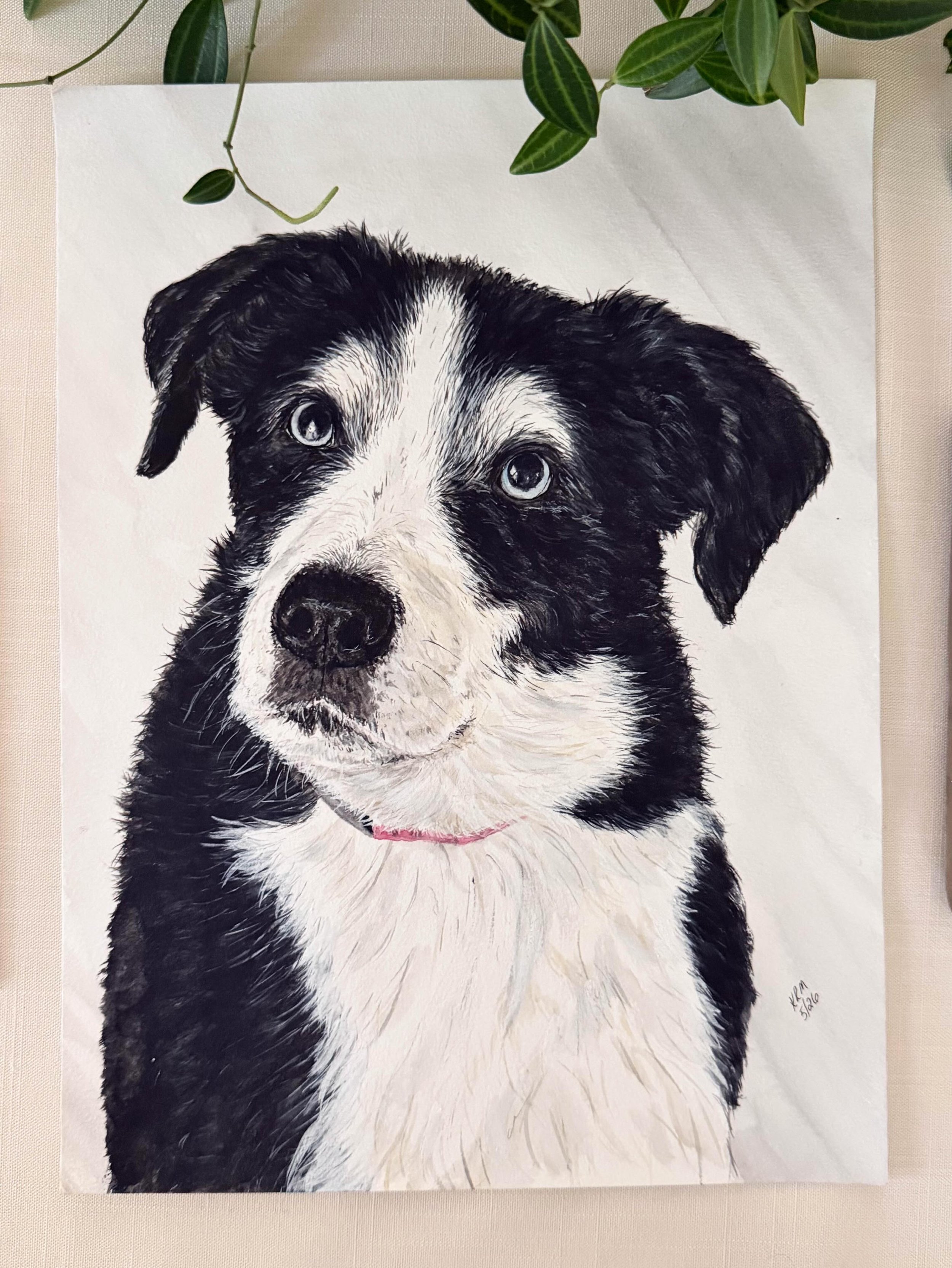 A couple weeks ago we said goodby to our sweet Lily. Back in January she was diagnosed with a cancerous growth on her face. Even with the cancer she stayed herself until it took over her a couple days ago. She was our blue eye baby. She loved everyon