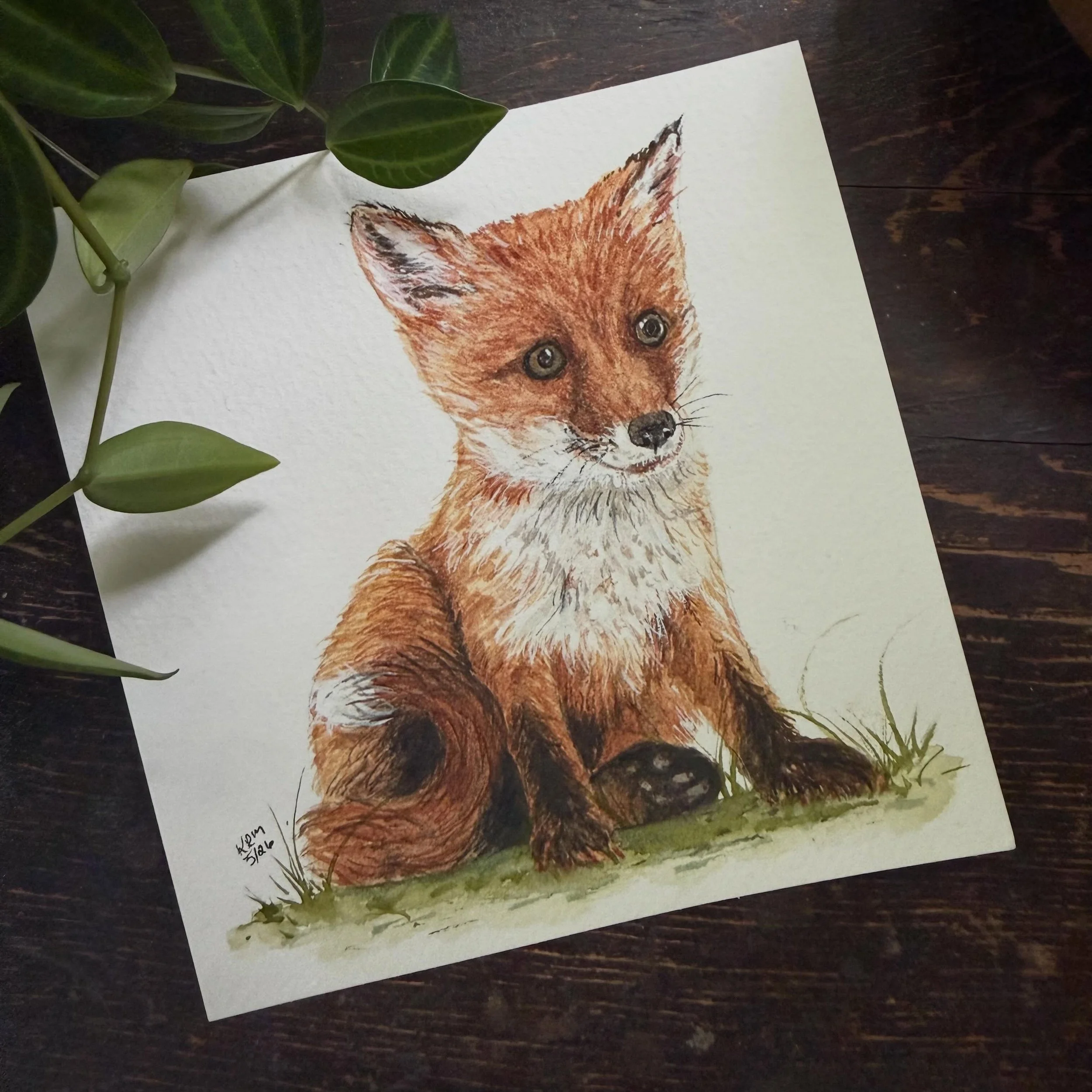 Finished this cutie this morning. On my way back from running errands this morning I had the pleasure of seeing three baby red foxes playing and chasing each other. They were so darn cute. Wish we had baby foxes this year. We were lucky to have them 