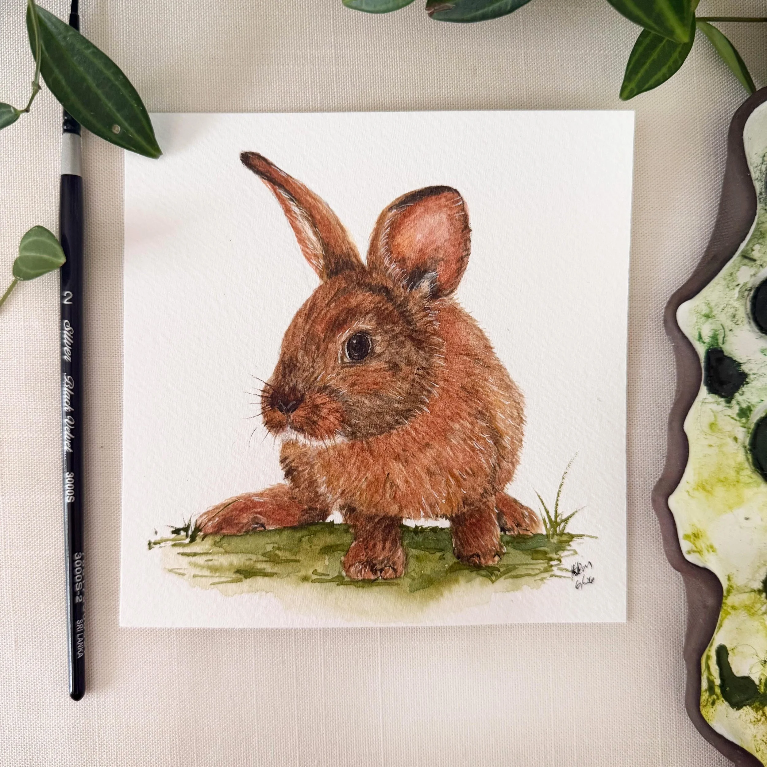 Another mini painting of a cute bunny. Sadly I have only scene a bunny once in our yard. But many friends around town see them a lot. We have foxes and the occasional coyote, so bunnies do lot have a chance in our neighborhood. Matching stationery pr