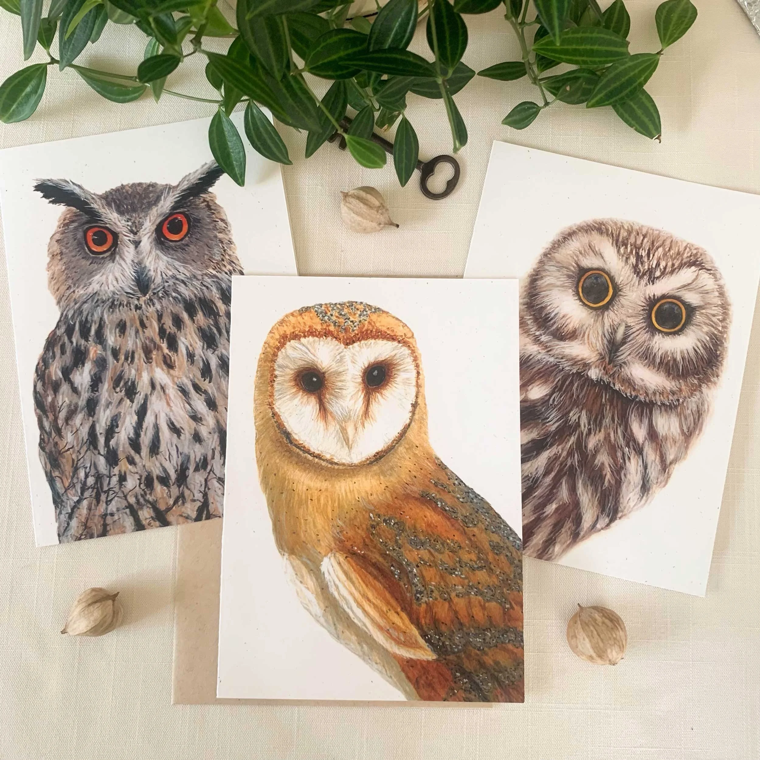 I love owls! That mysterious bird that you hear, but rarely see. They are such beautiful creatures. Here is my owl greeting card pack.
#watercolorowl #greetingcards #ecofriendlyproducts #snailmaillove #owllover