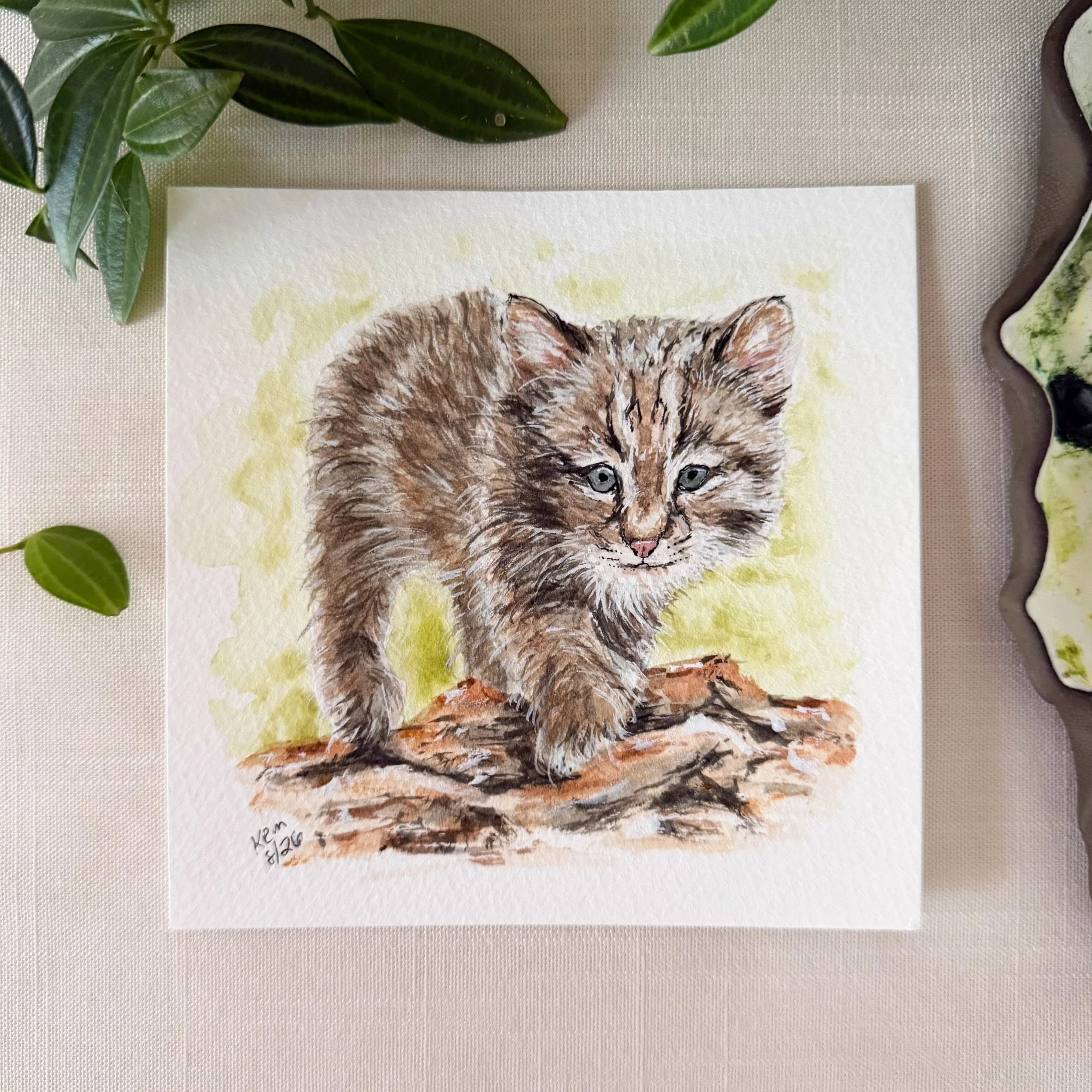 Did you know that Bobcats get their name from their &ldquo;bobbed&rdquo; tail. I have only scene one a handful times in our yard. They frequent the other side of our town more often. Here is a cute young bobcat in a mini 5&rdquo; x5&rdquo; painting.
