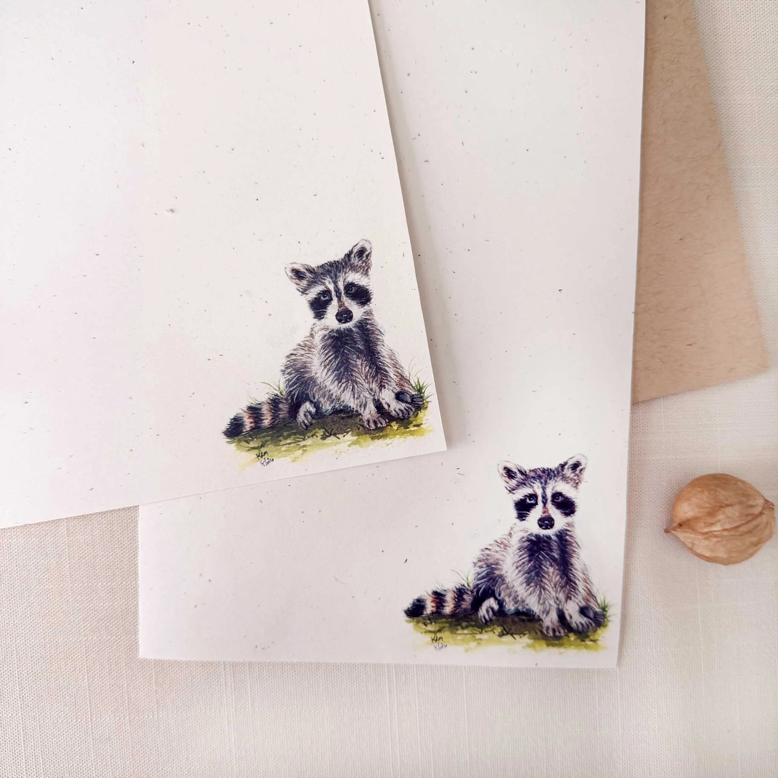 young-raccoon-grass-letter-writing_2.jpg