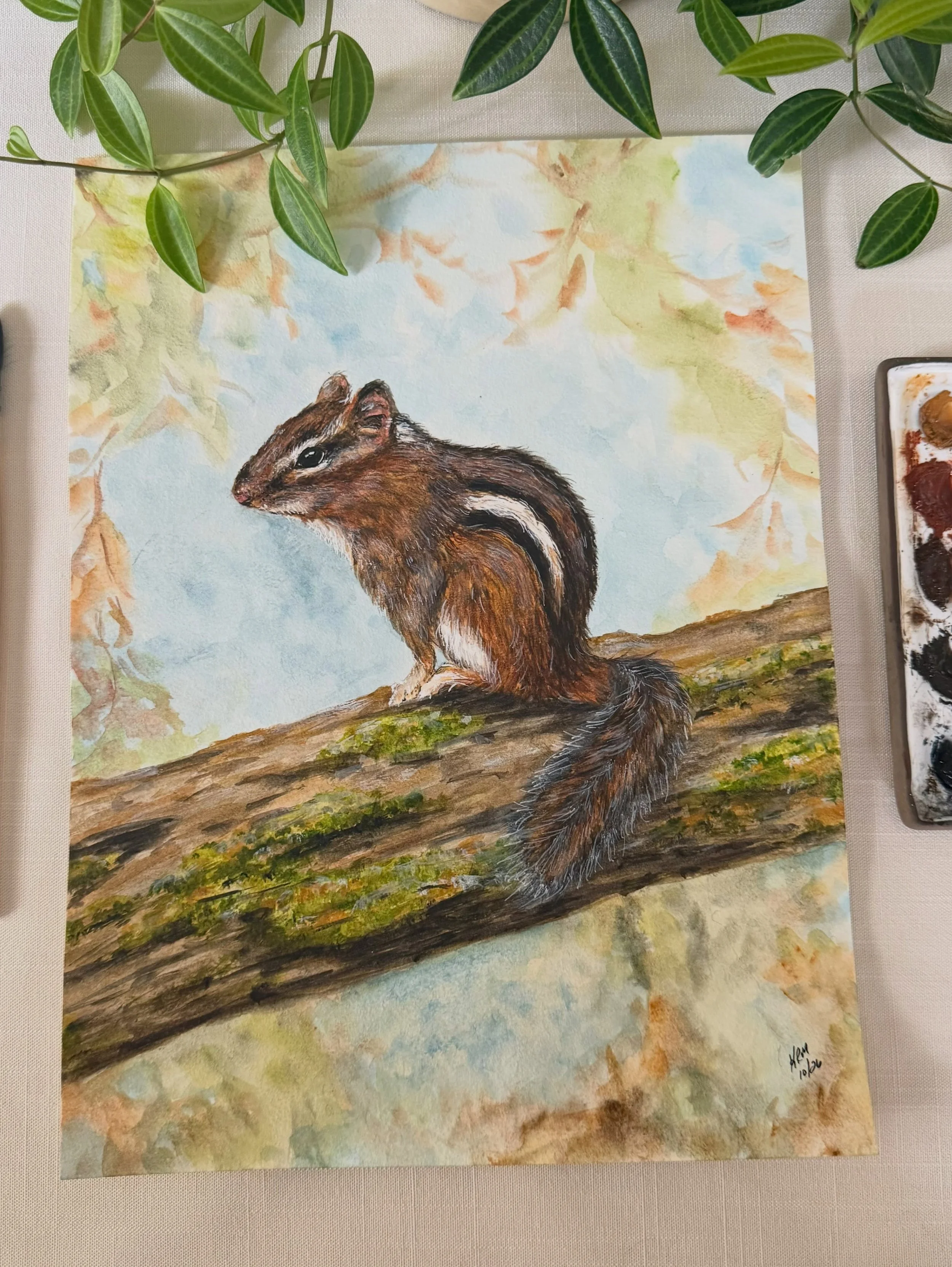 The last painting in my autumn series, a cute chipmunk. The chipmunks in our yard have been supper active preparing for winter.
Matching art prints and stationery will be available Friday for all four new paintings. Sign up to my mailing list to get 