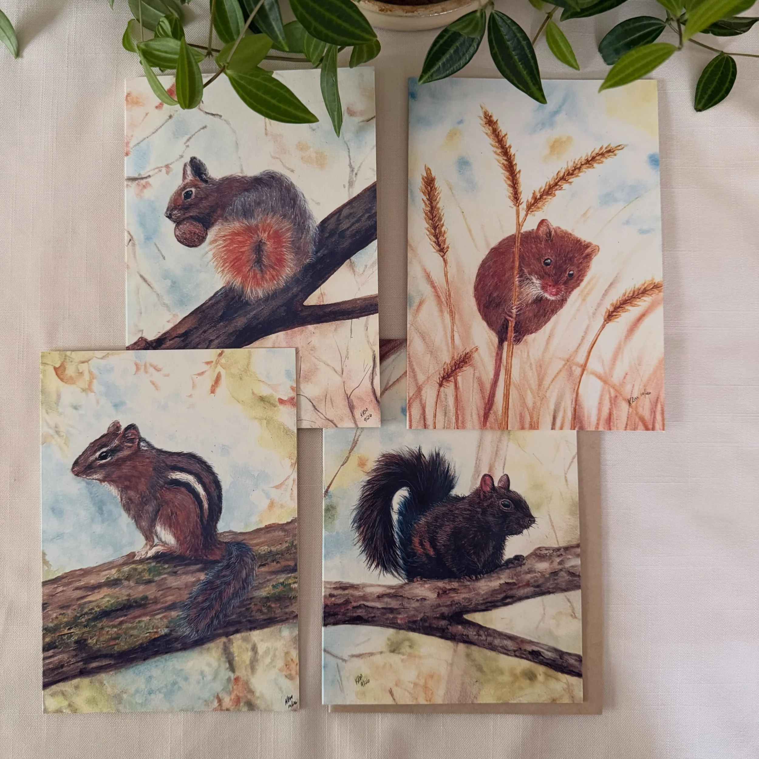 Greeting cards are now available of all four new autumn paintings. I really enjoyed painting this collection.
#greetingcards #stationeryshop #woodlandanimals #watercolorprints #ecofriendlyproducts