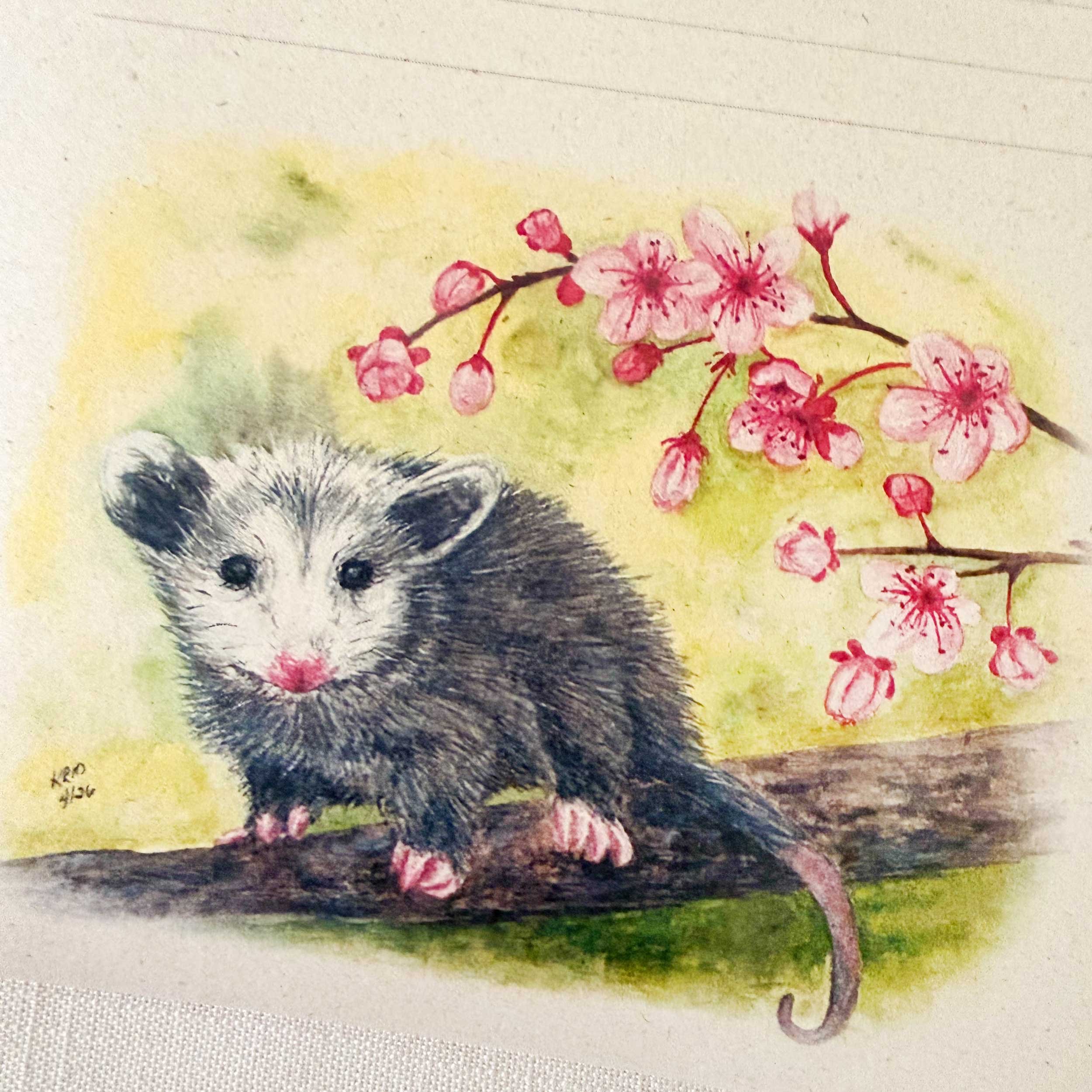 Opossom-CherryBlossoms-notepad_4.jpg