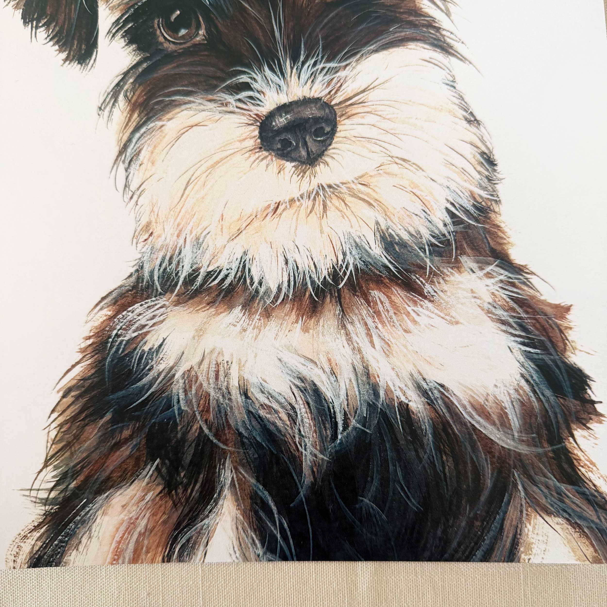 Miniature-Schnauzer-art-print_4.jpg
