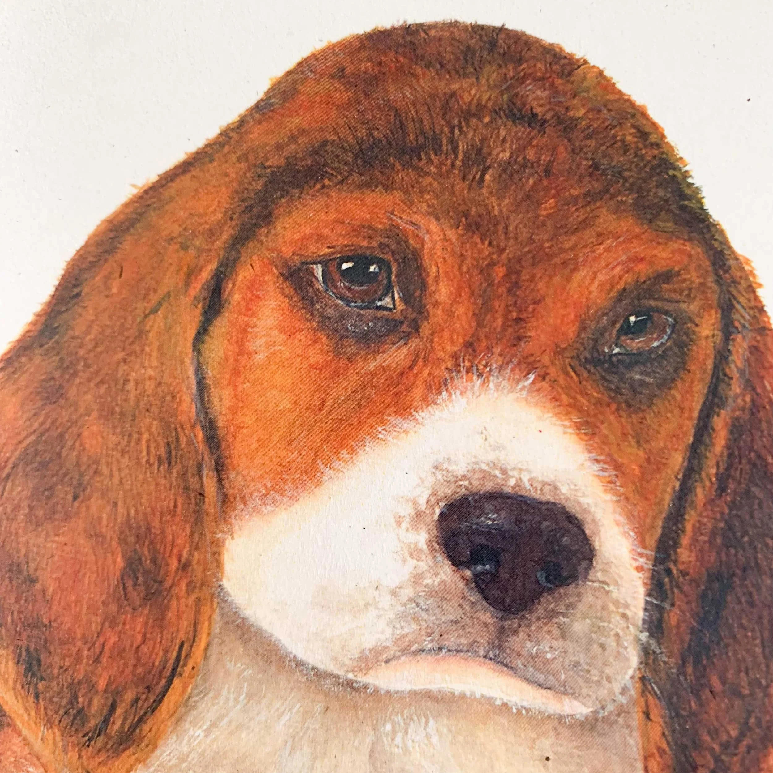 beagle-puppy-greeting-card_3.jpg