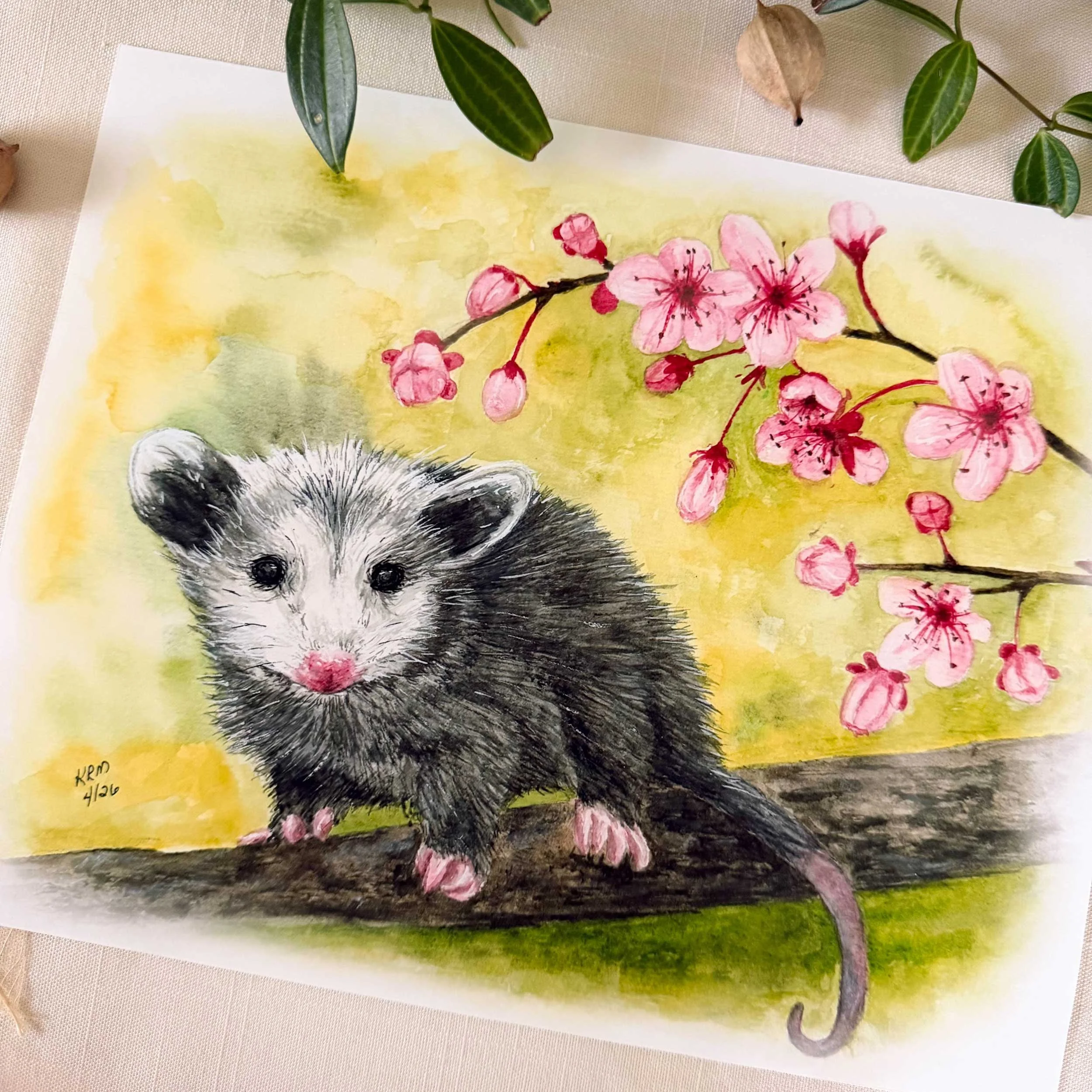 Opossom-CherryBlossoms-art-print_2.jpg