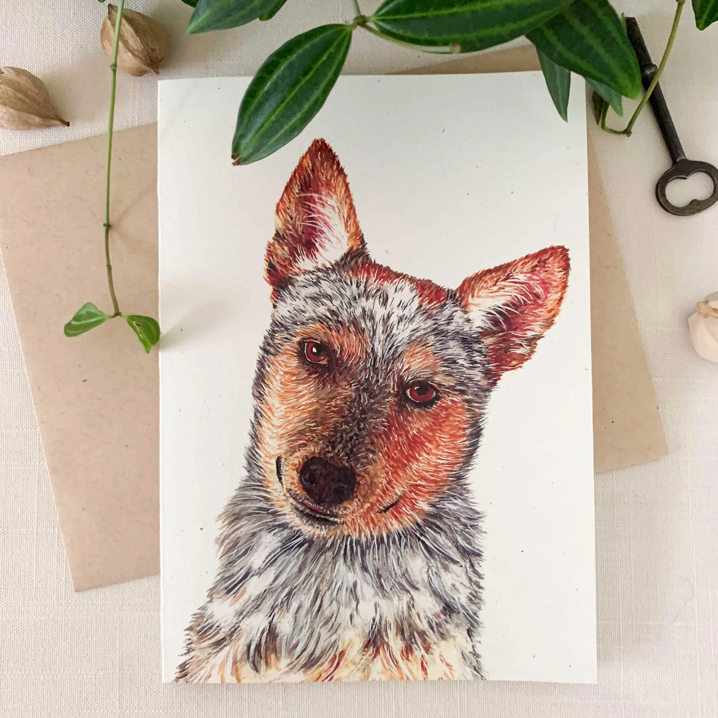 australian-cattledog-greeting-card_1.jpg