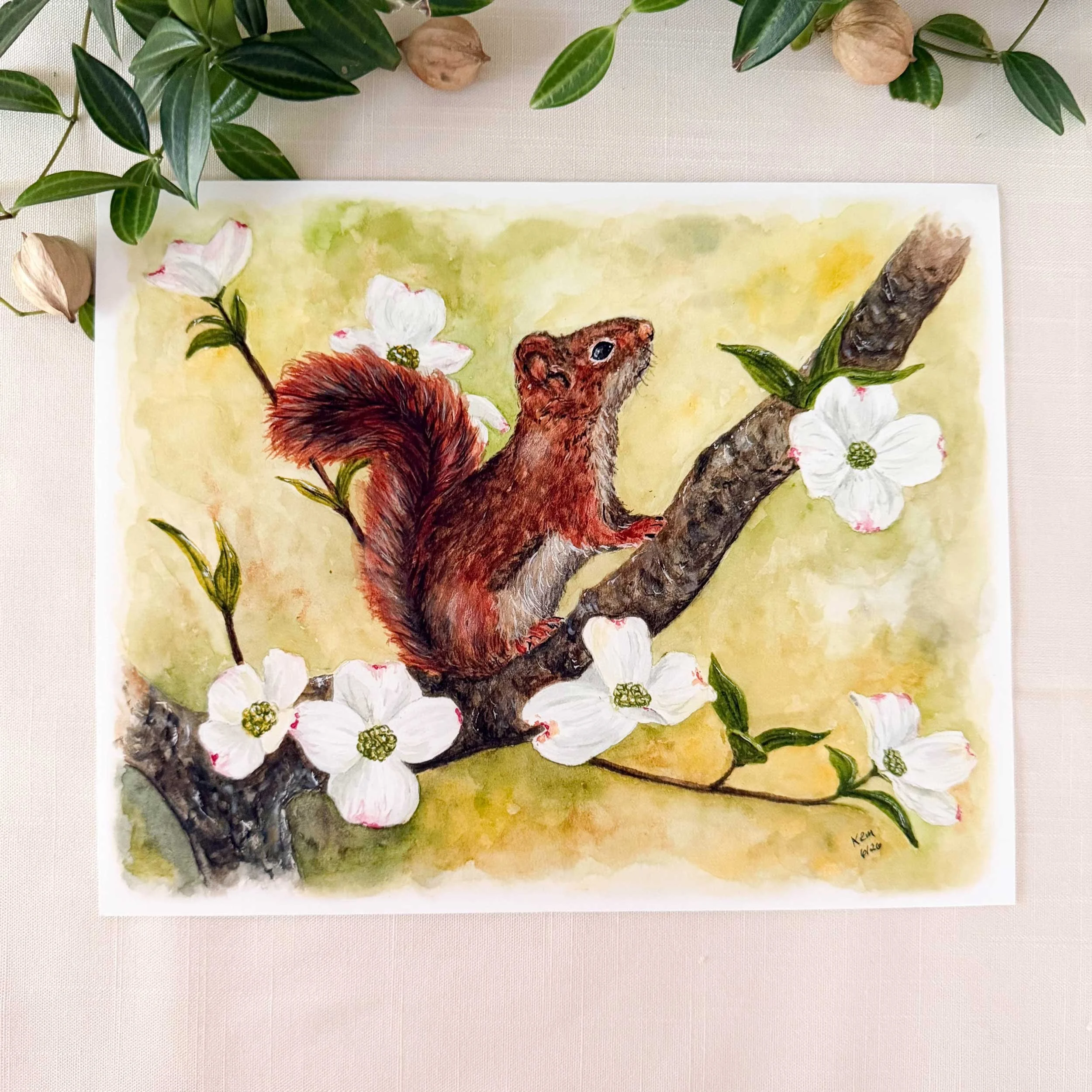 red-squirrel-dogwoods-art-print_1.jpg