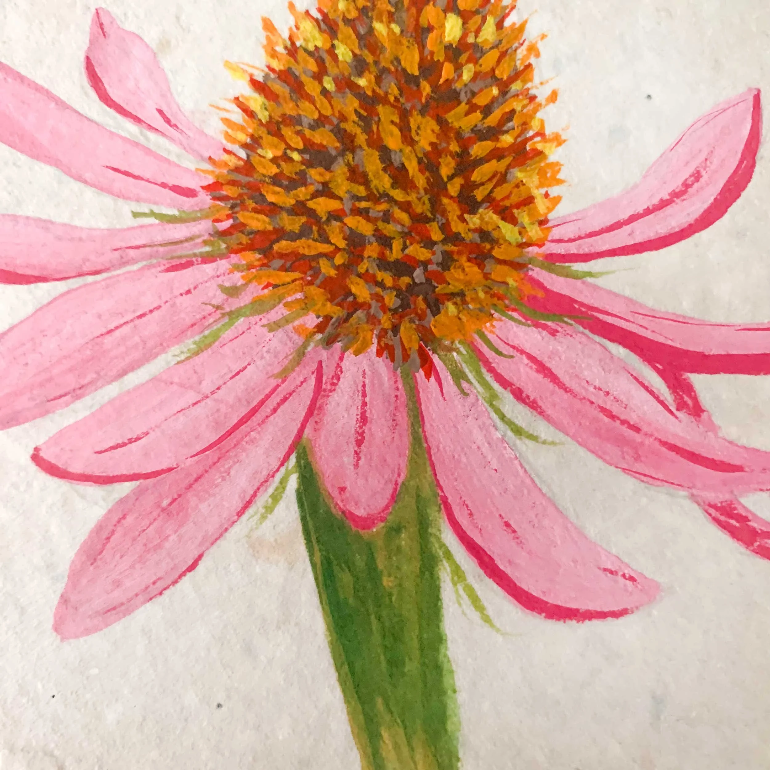 coneflower-handmade-paper-painting_3.jpg