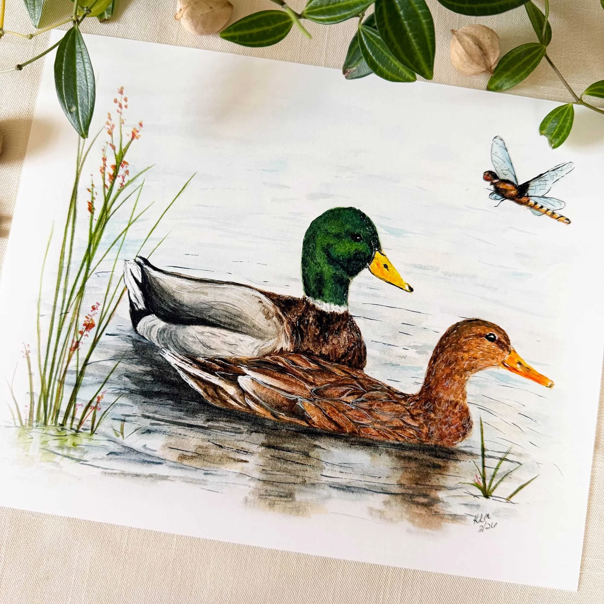 Mallard-couple-art-print_2.jpg