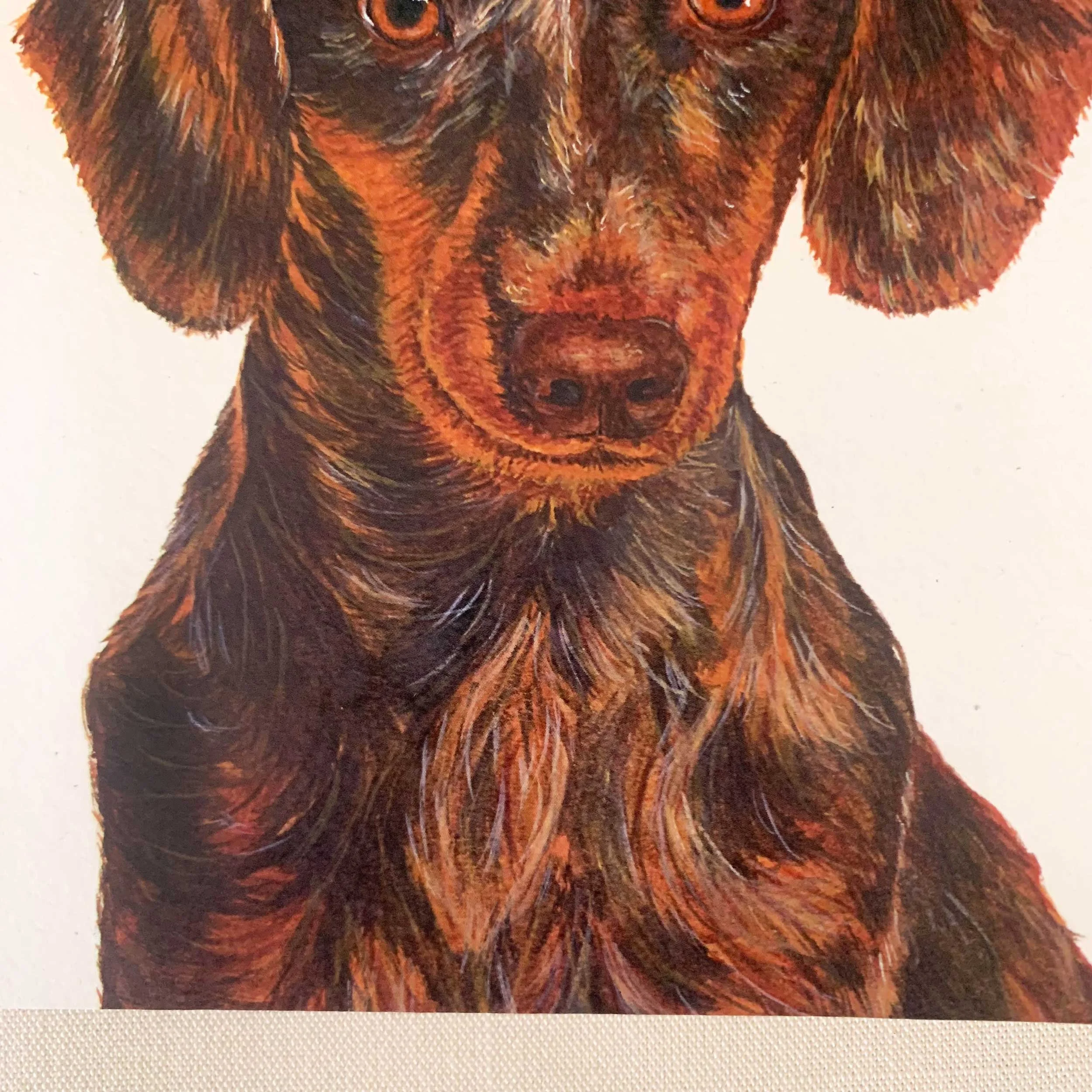 dachshund-greeting-card_4.jpg