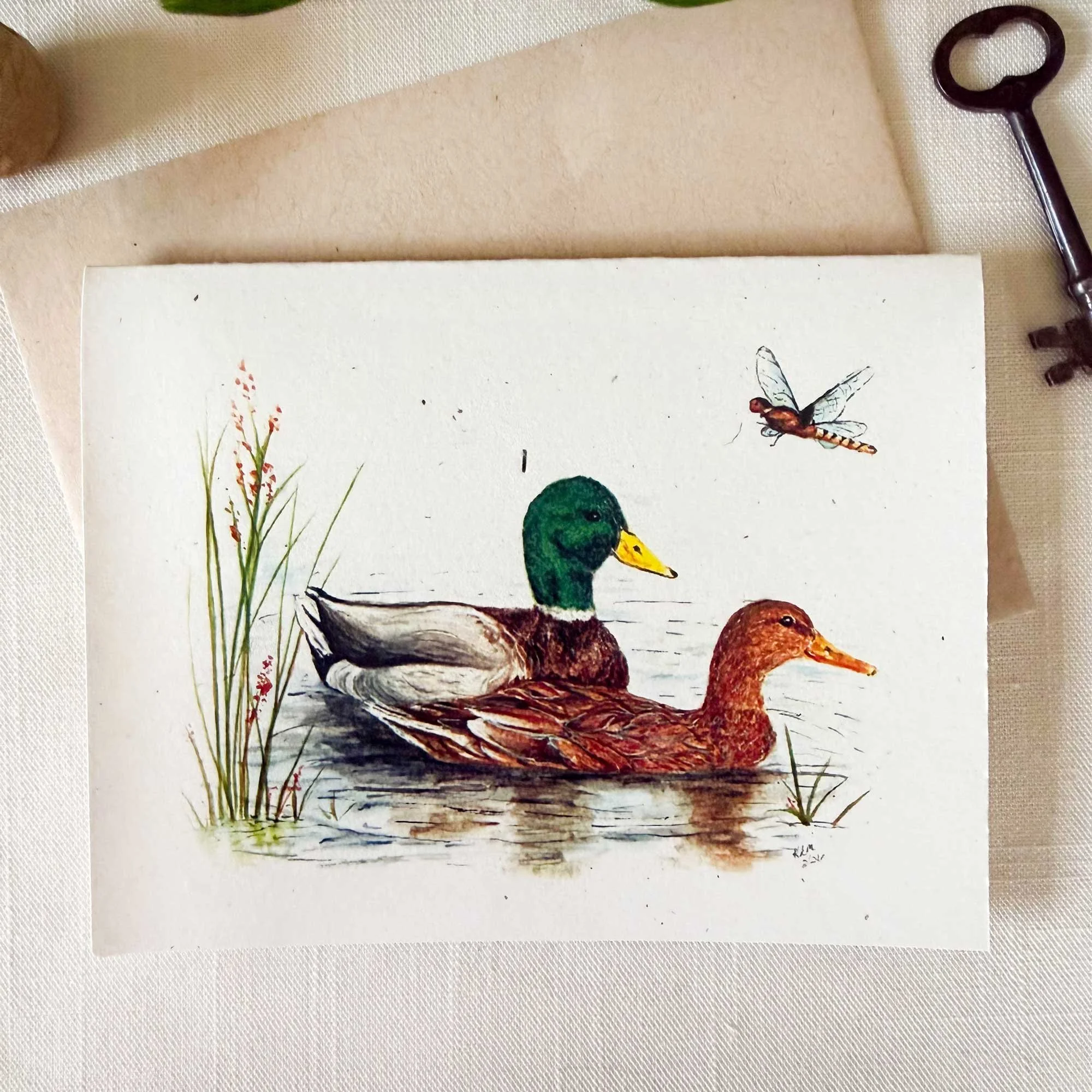 Mallard-couple-folded-notecard_1.jpg