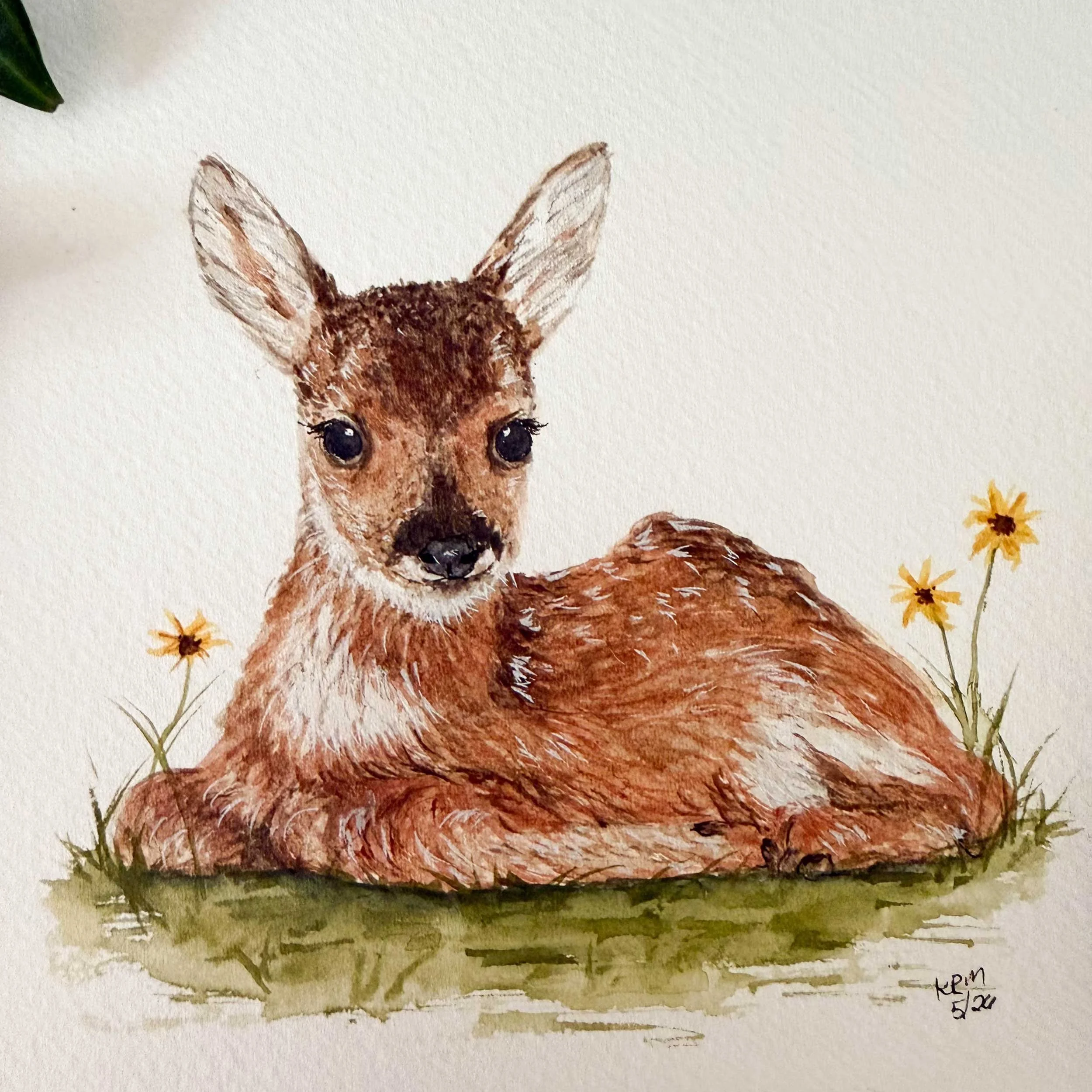 young-fawn-laying-down_painting_3.jpg