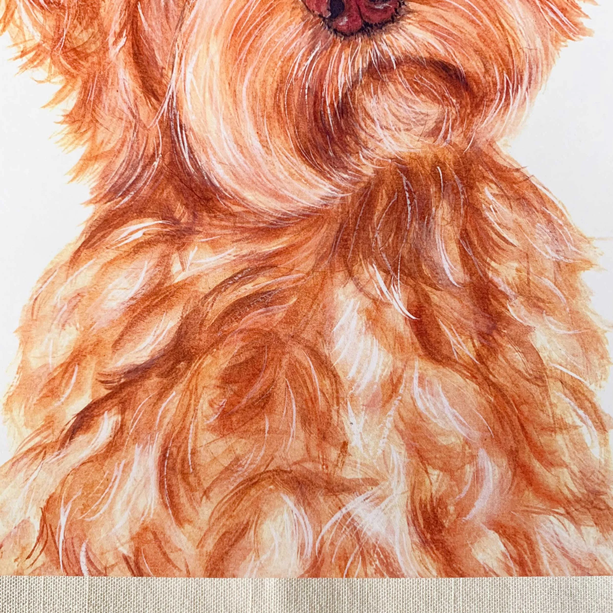 golden-doodle-art-print_4.jpg