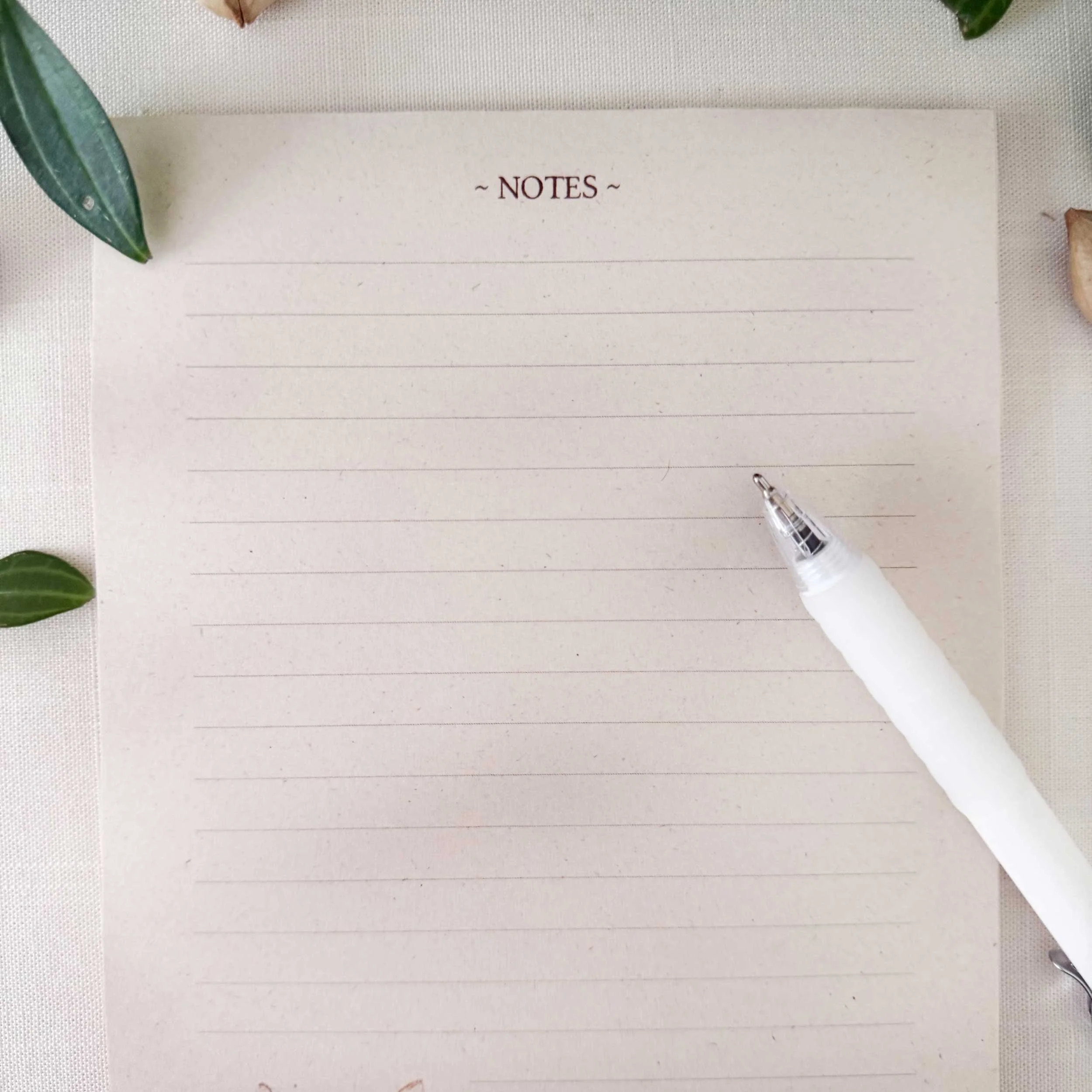 young-fawn-laying-down_notepad_2.jpg