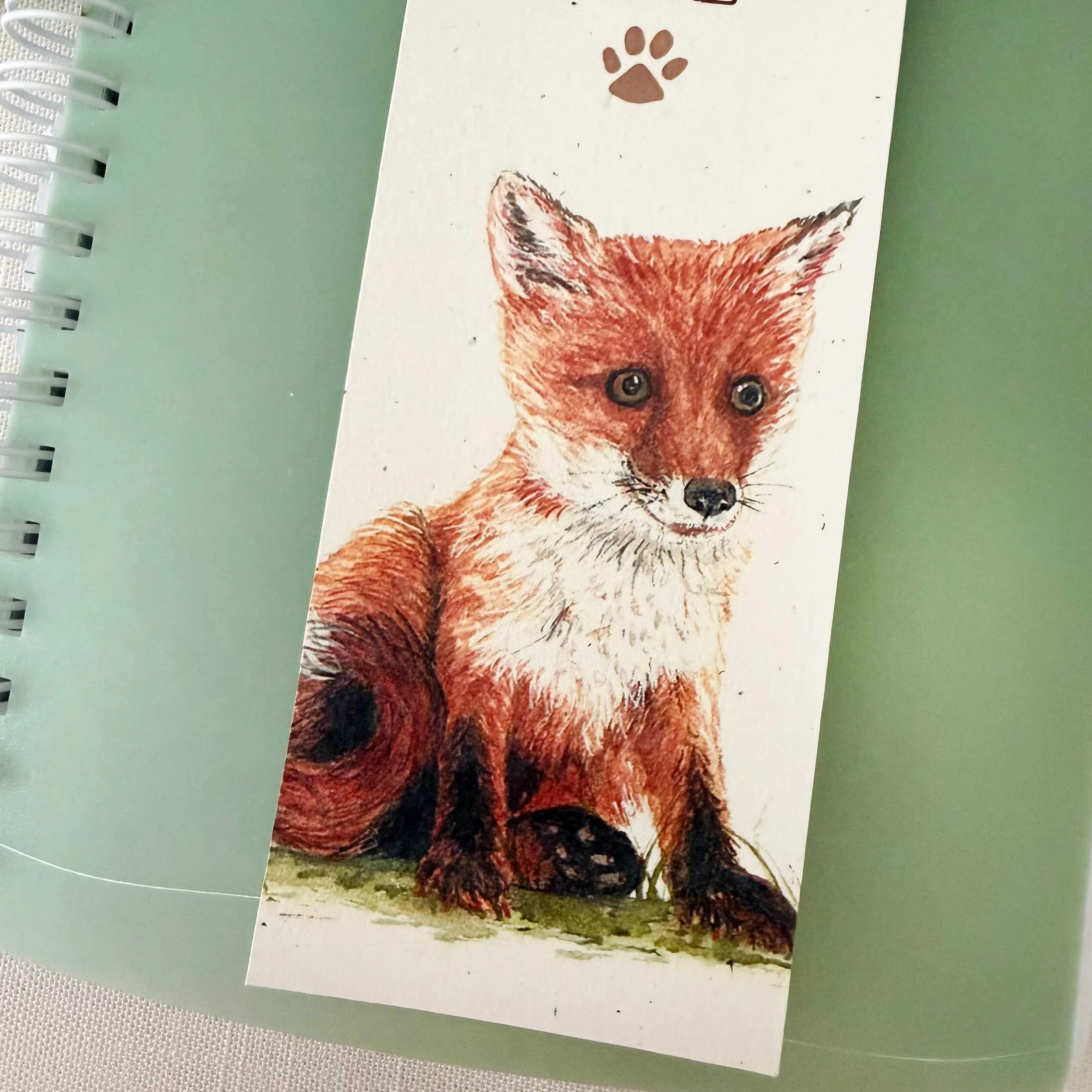 young-fox-sitting_bookmark_4.jpg