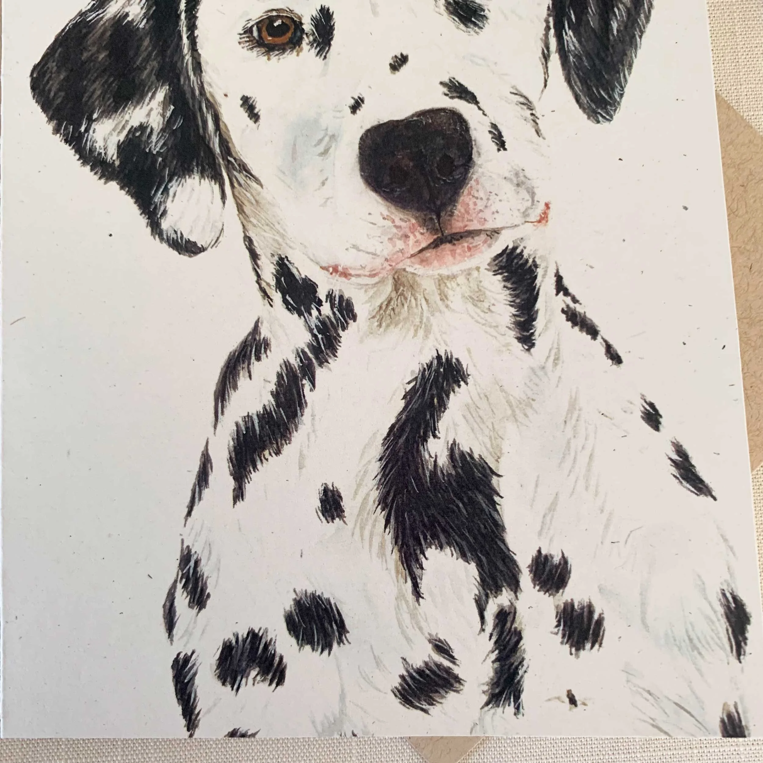 dalmatian-dog-greeting-card_4.jpg